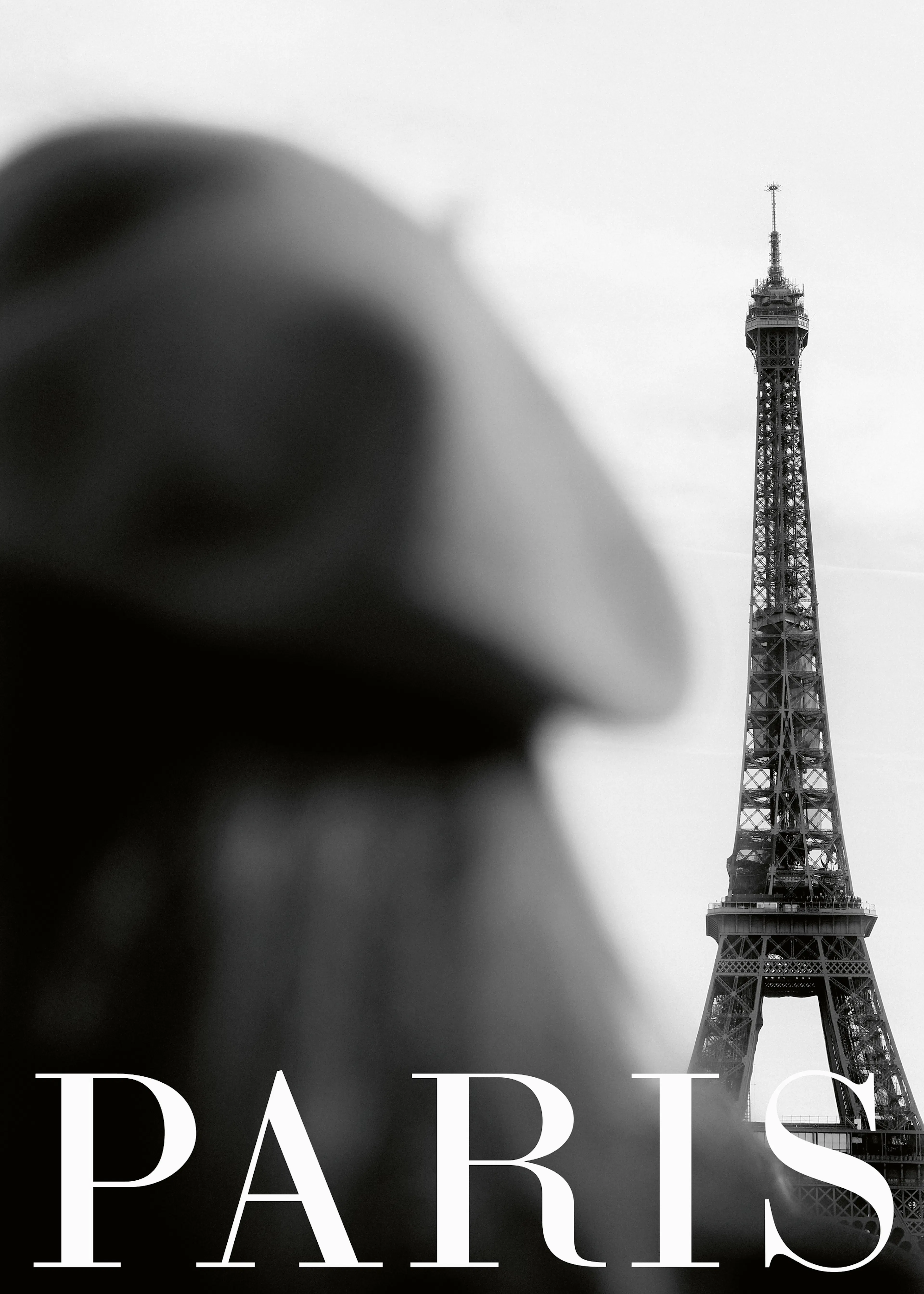 Black Paris Elegance Poster 0