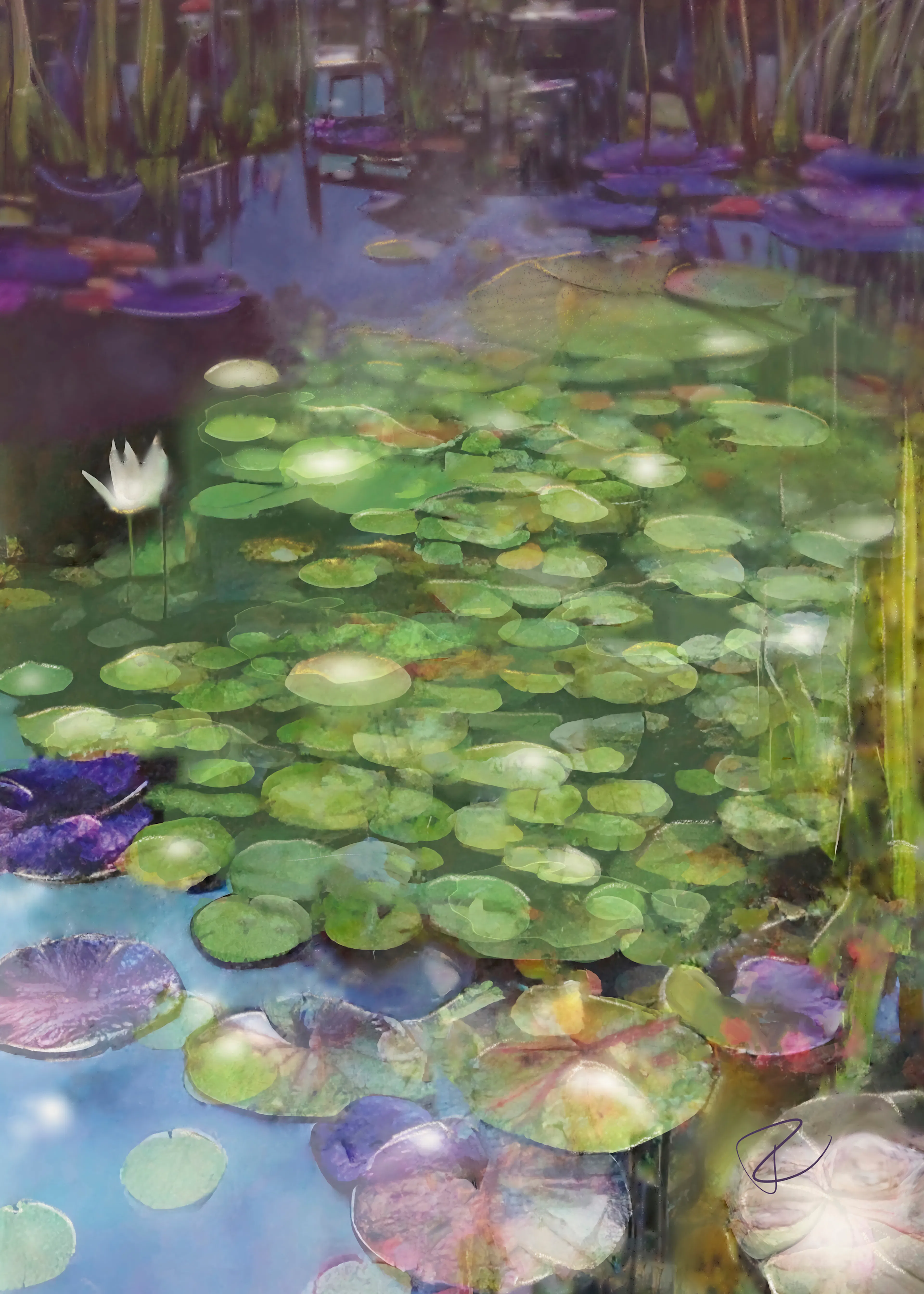 Serene Lily Pond Poster 0