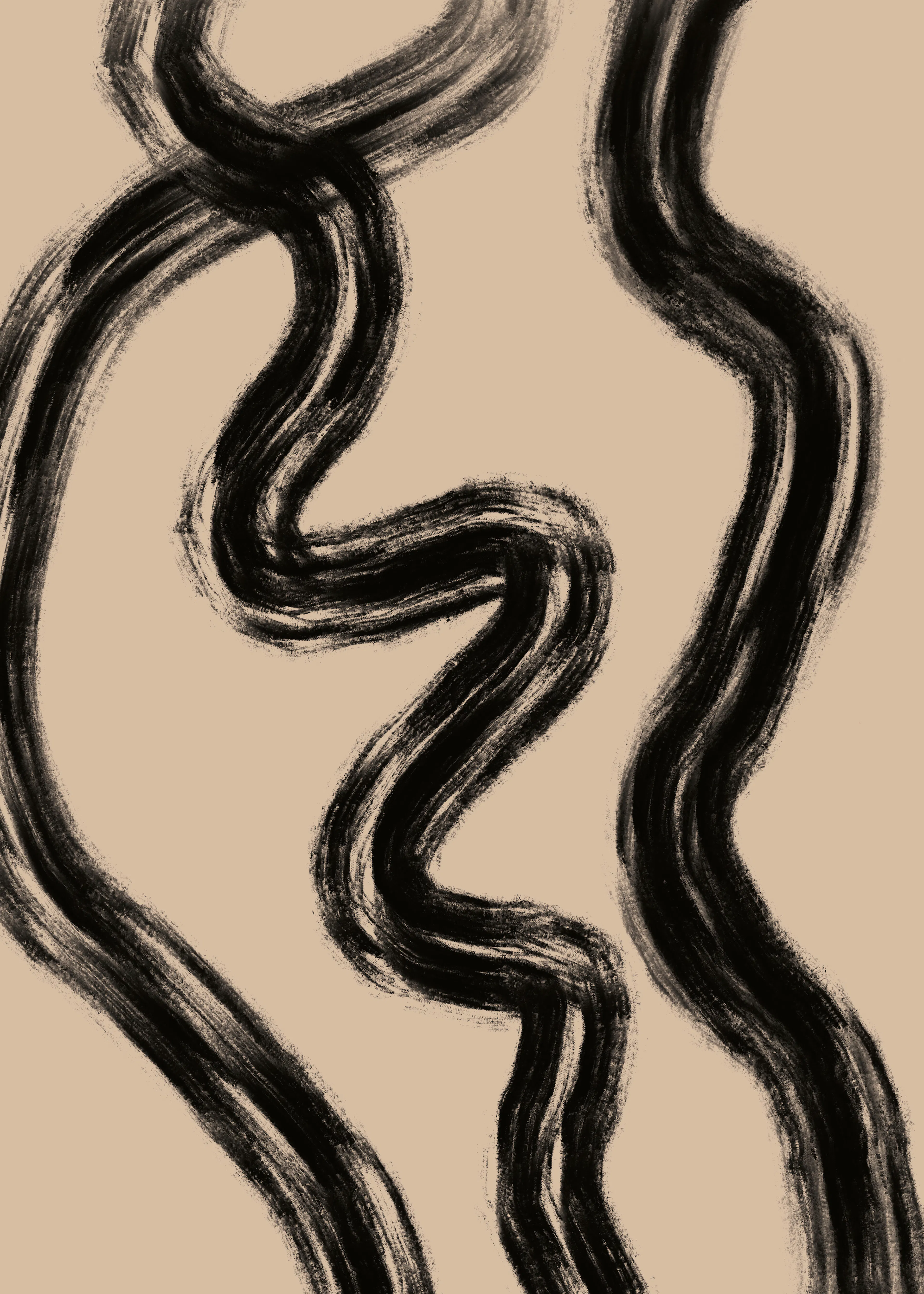 Houtskool Abstracte Curves Poster 0