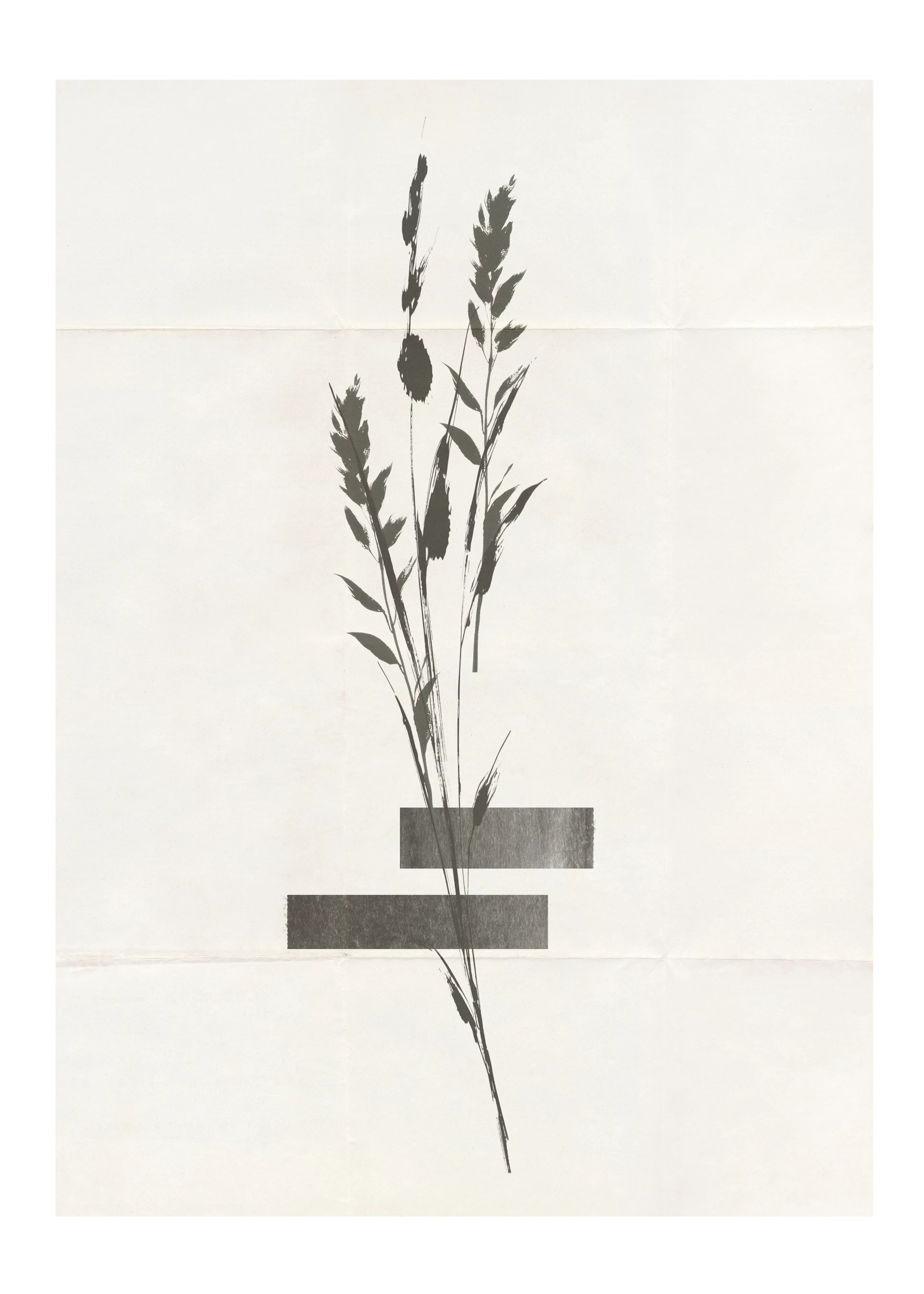 Beige Minimalist Botanical Poster 0