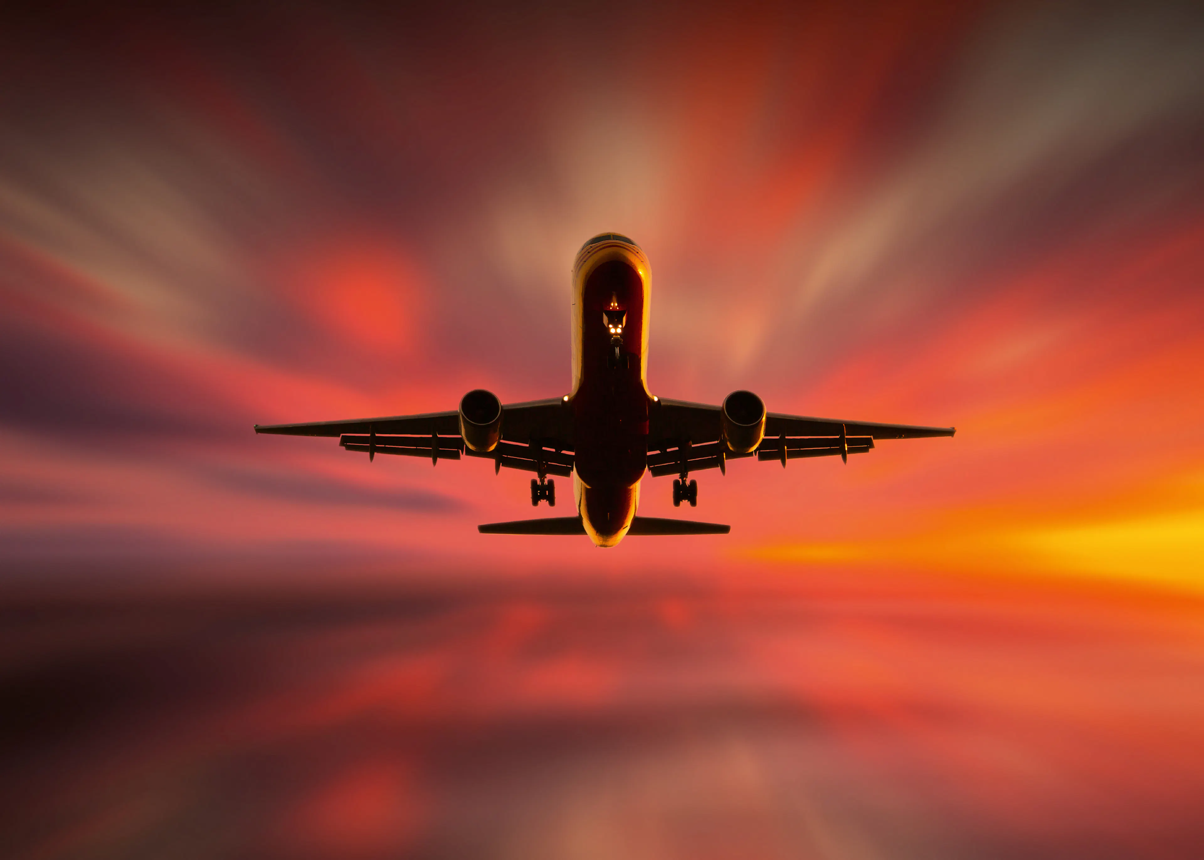 Karmesinroter Sonnenuntergangsflug Poster 0