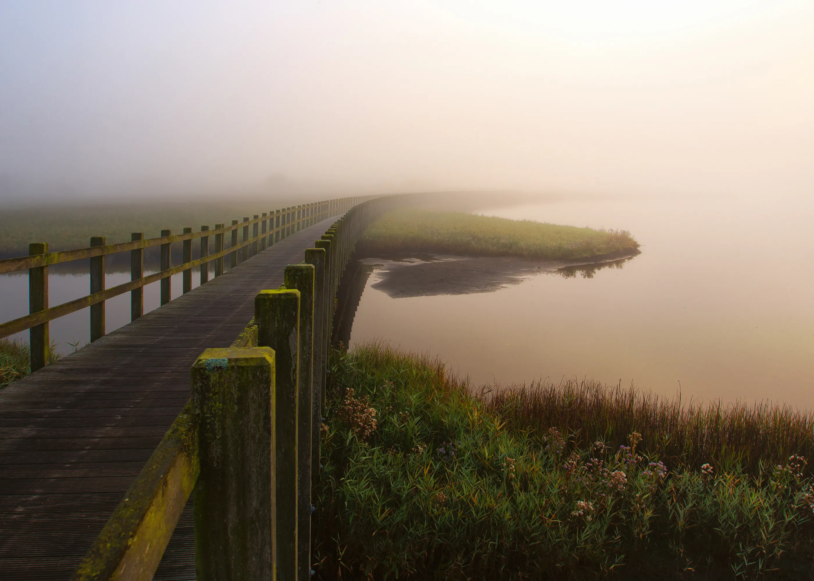 Misty Morning Bridge Poster 0