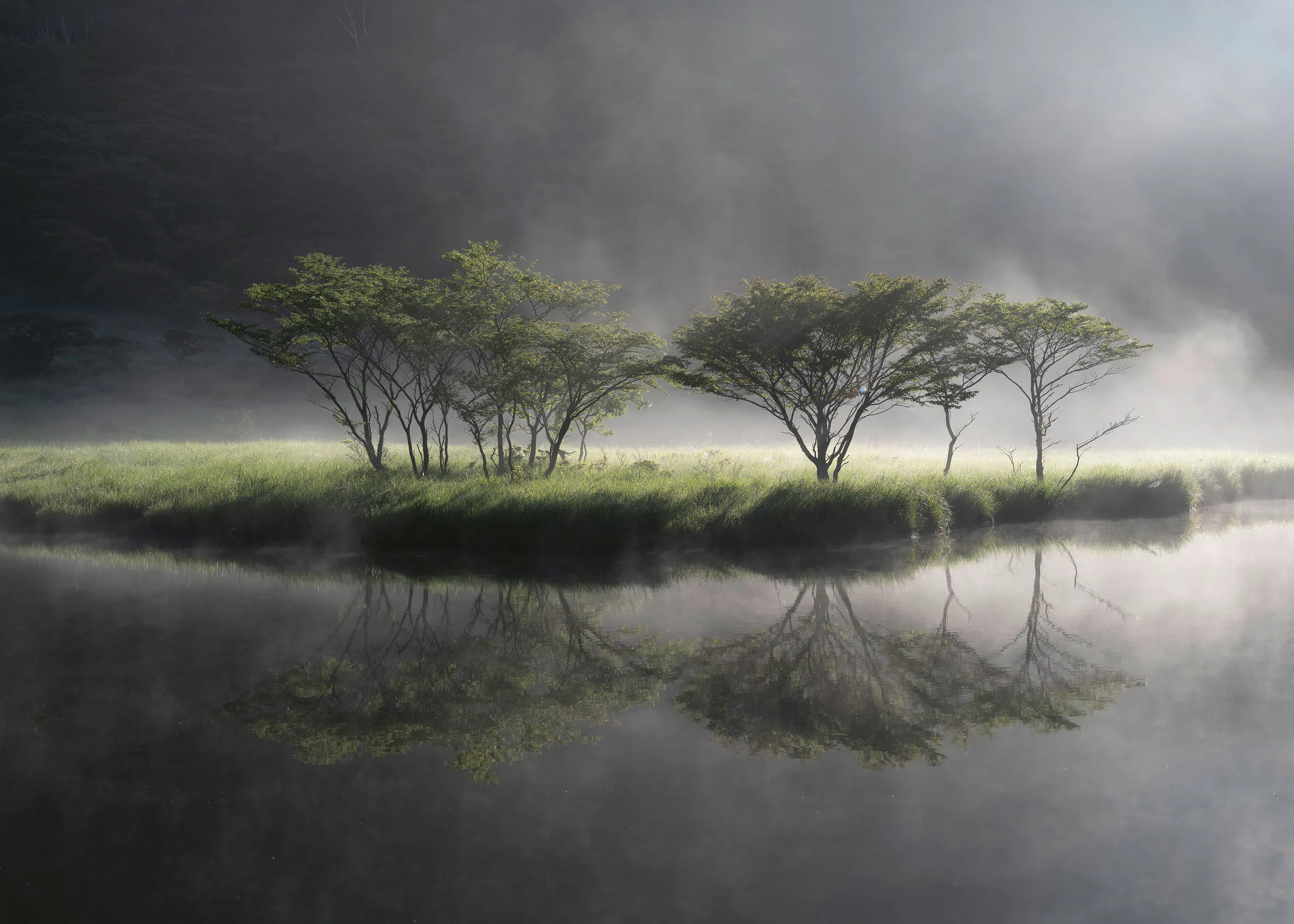 Misty Reflection Poster 0