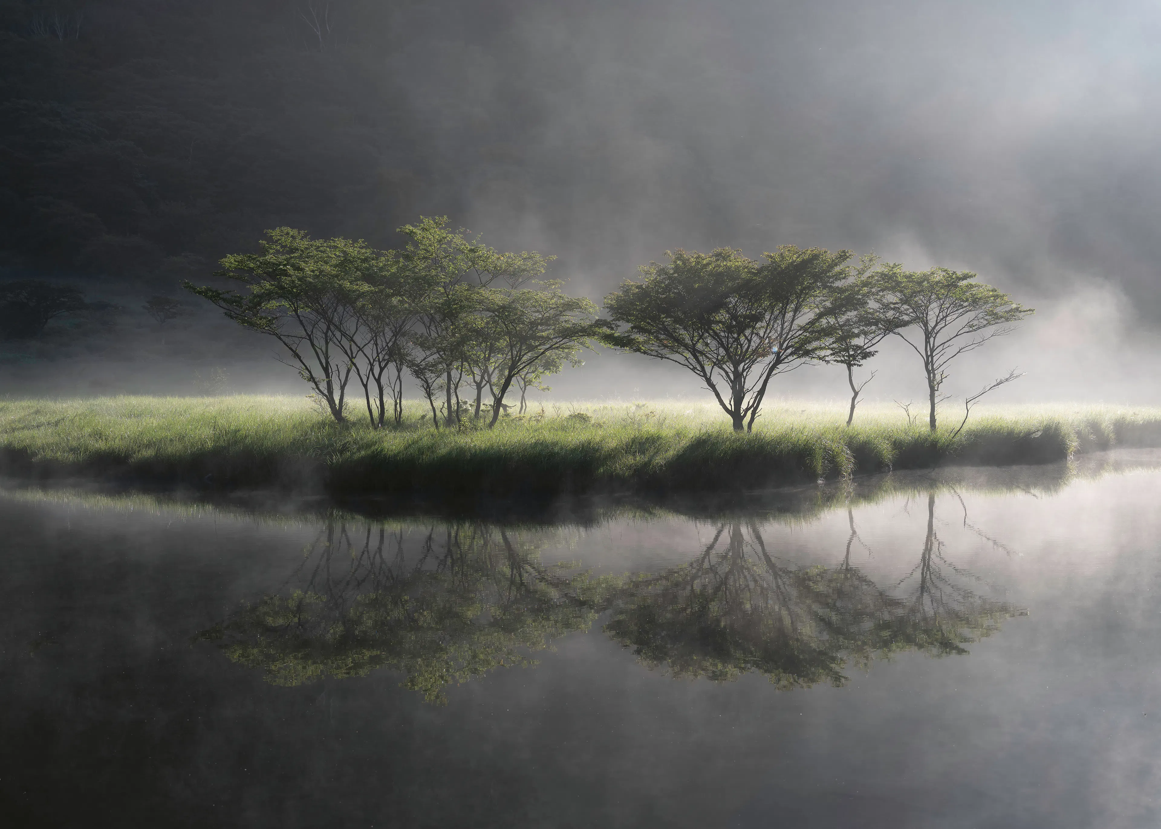 Misty Reflection Poster 0