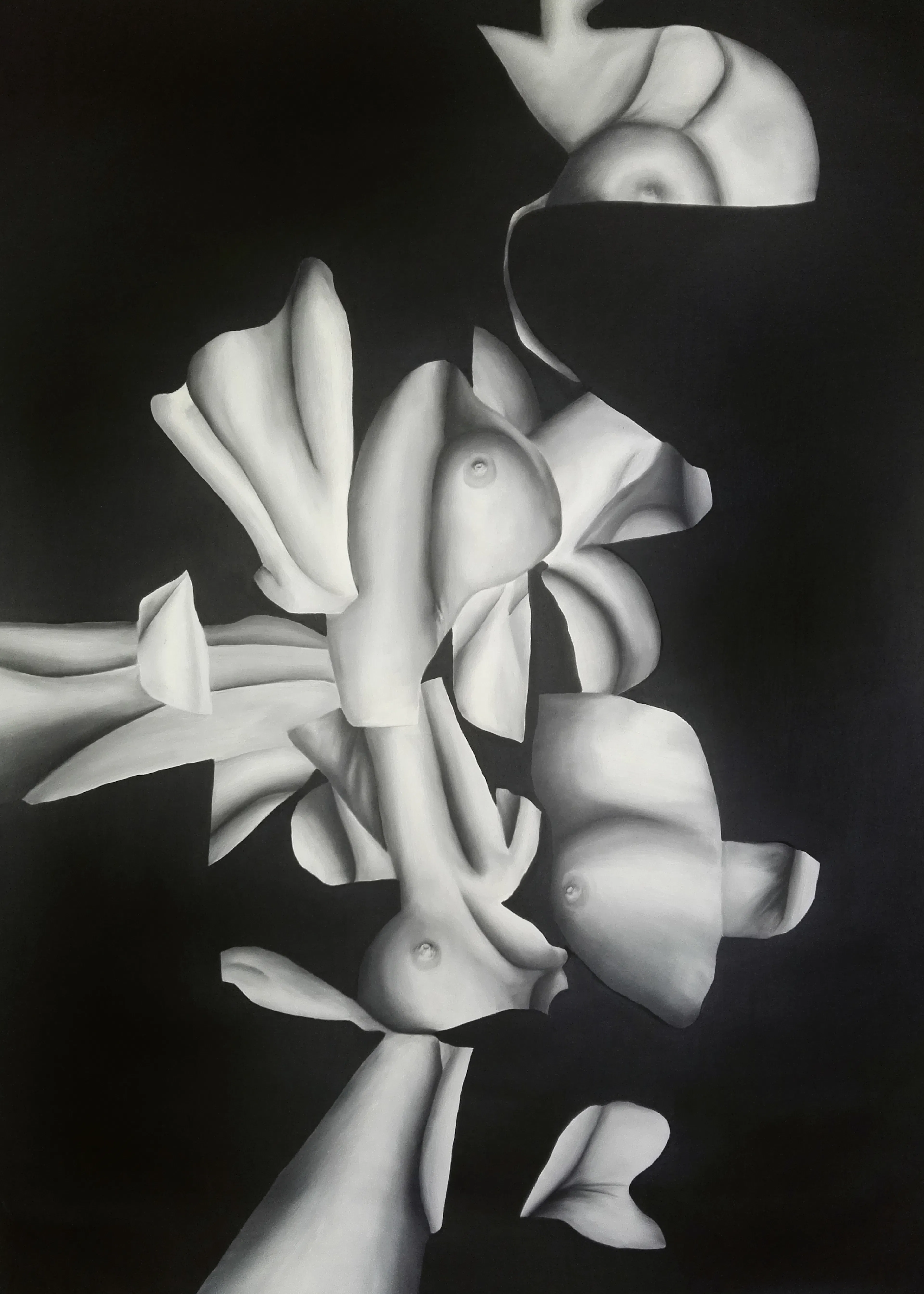 Black Abstract Forms Poster 0