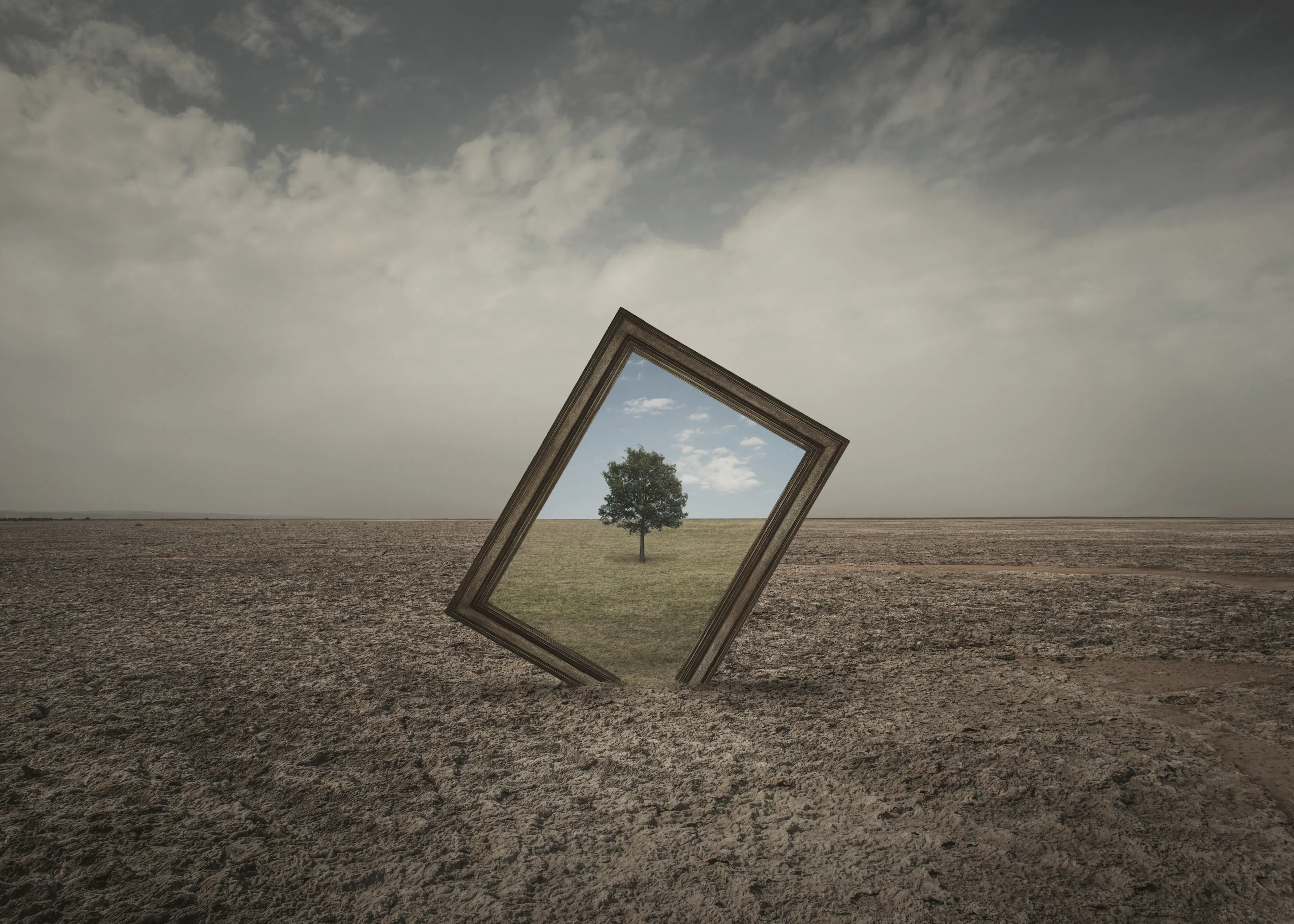 Framed Reality Poster 0