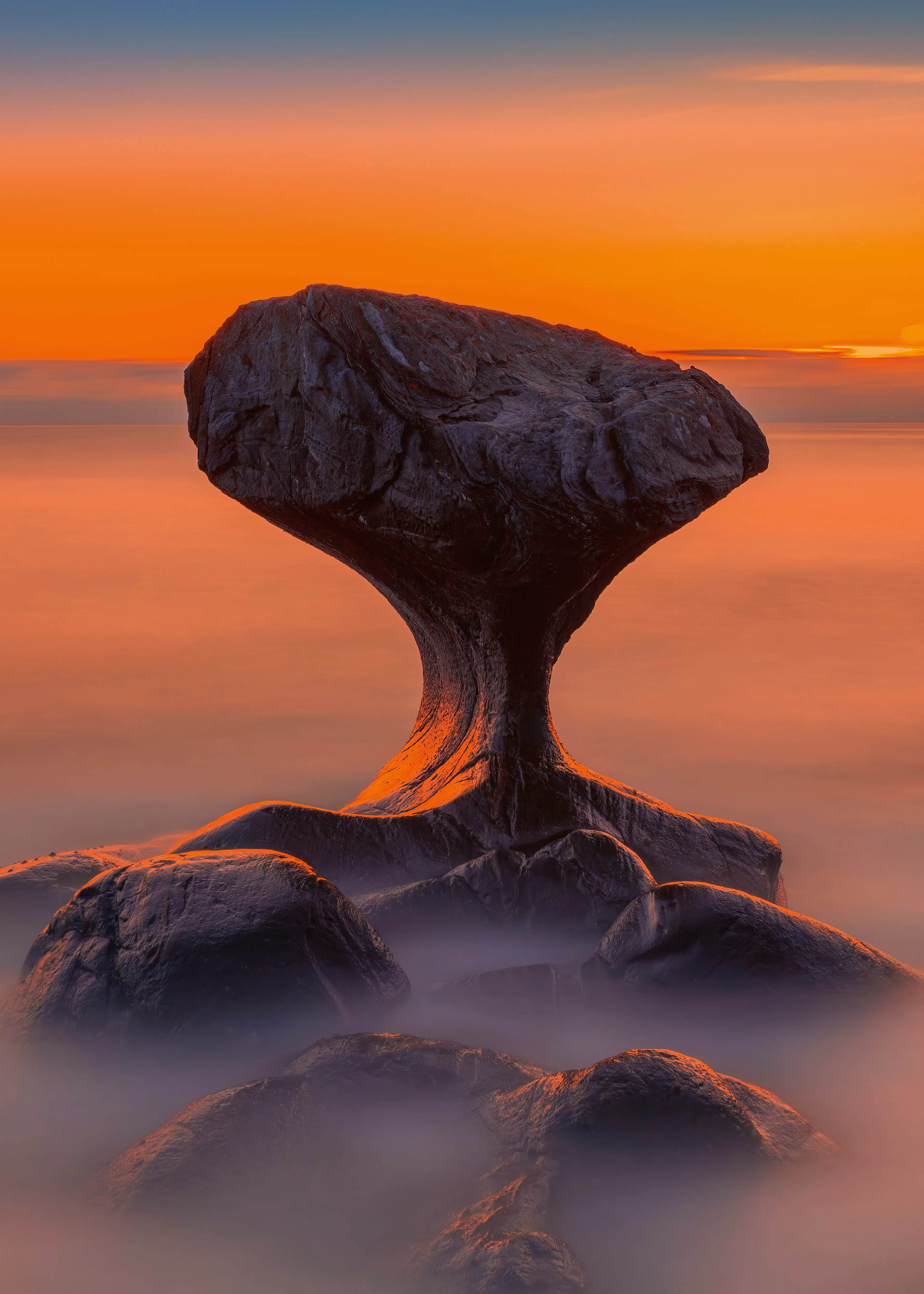 Mystic Mushroom Rock Poster 0