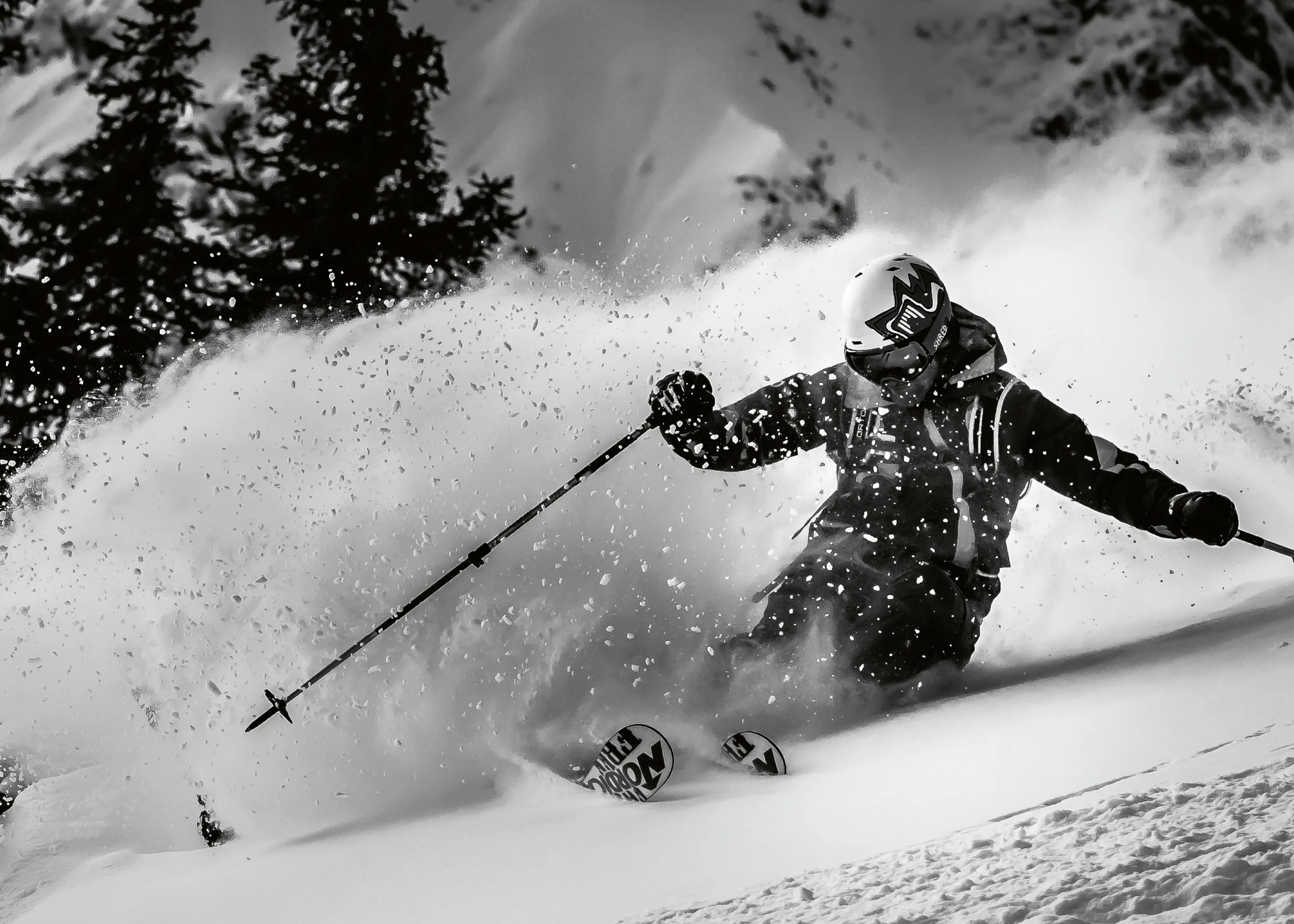 Sci su Neve Fresca Poster 0