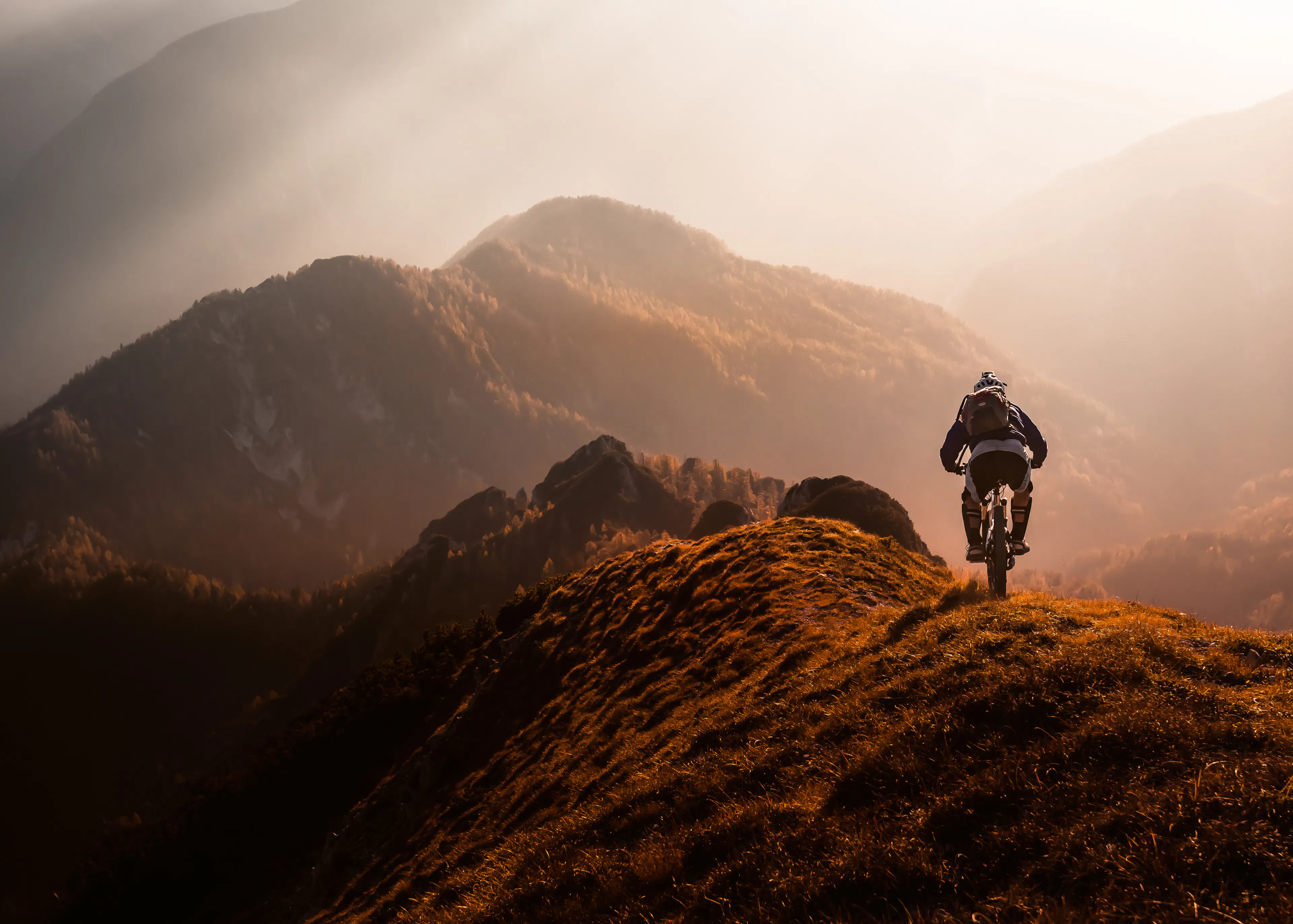 Marrone Mountain Biking Poster 0
