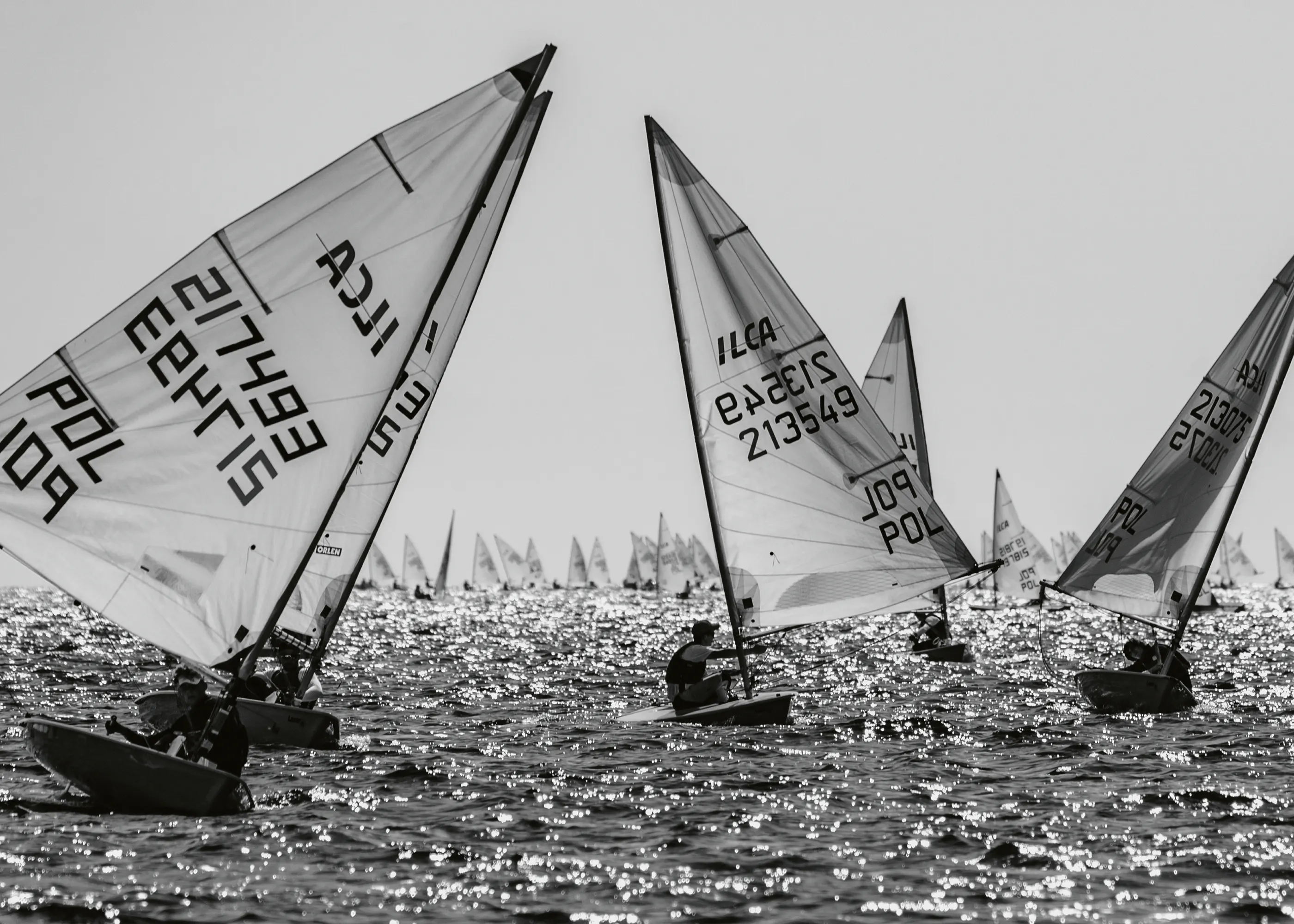 Seilregatta Plakat 0