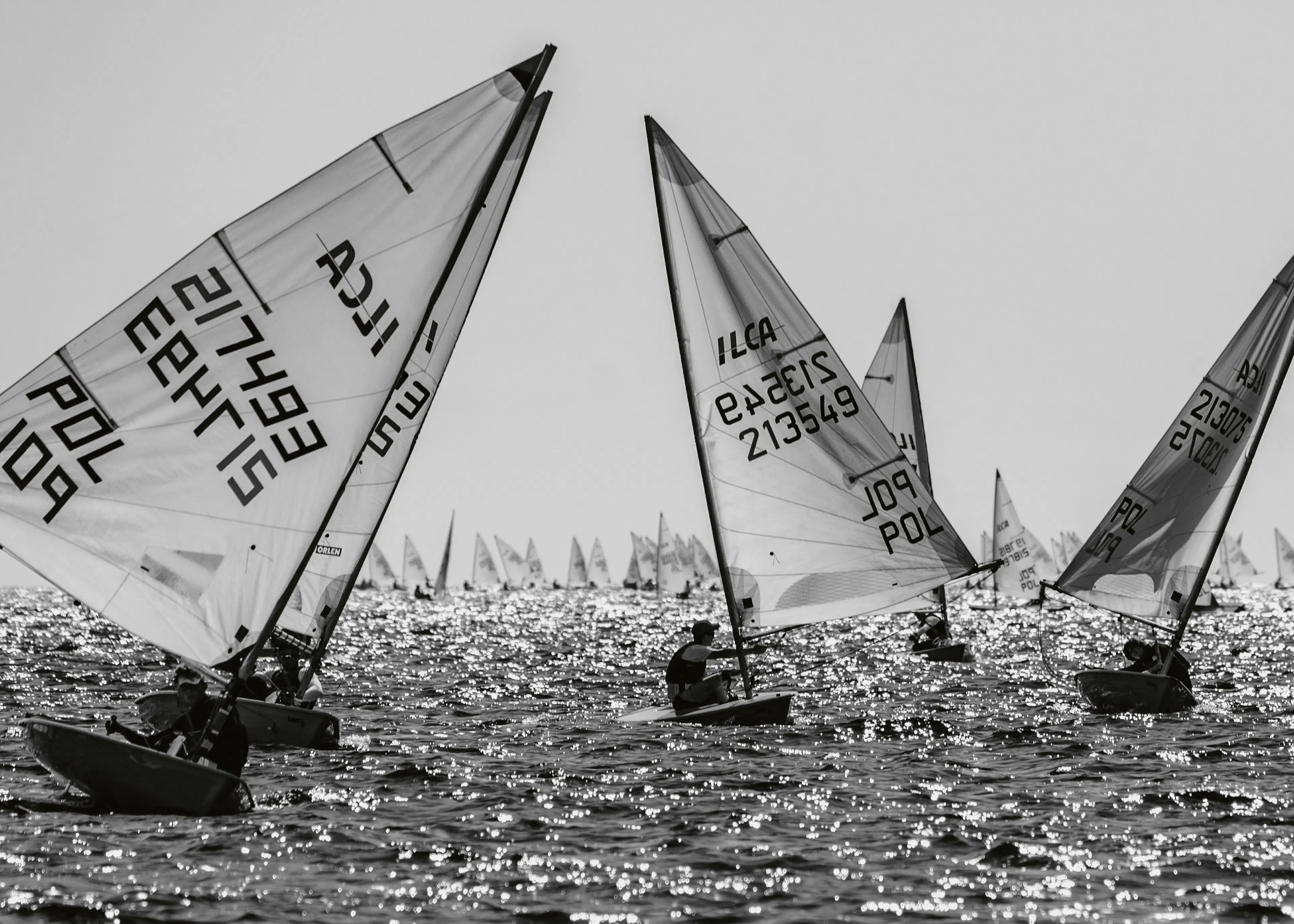 Zeilregatta Poster 0