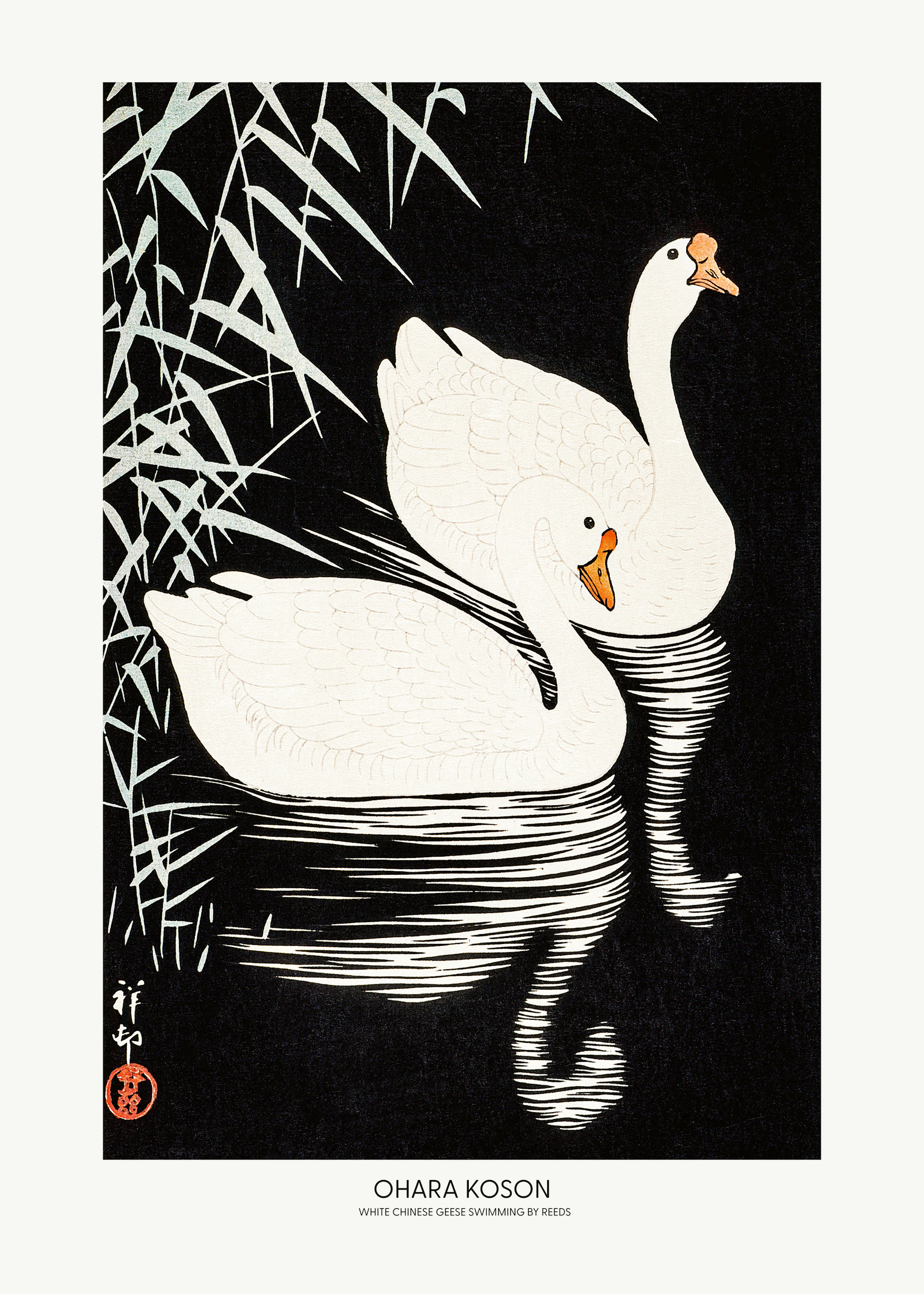 Schwarze Elegante Schwäne Poster 0