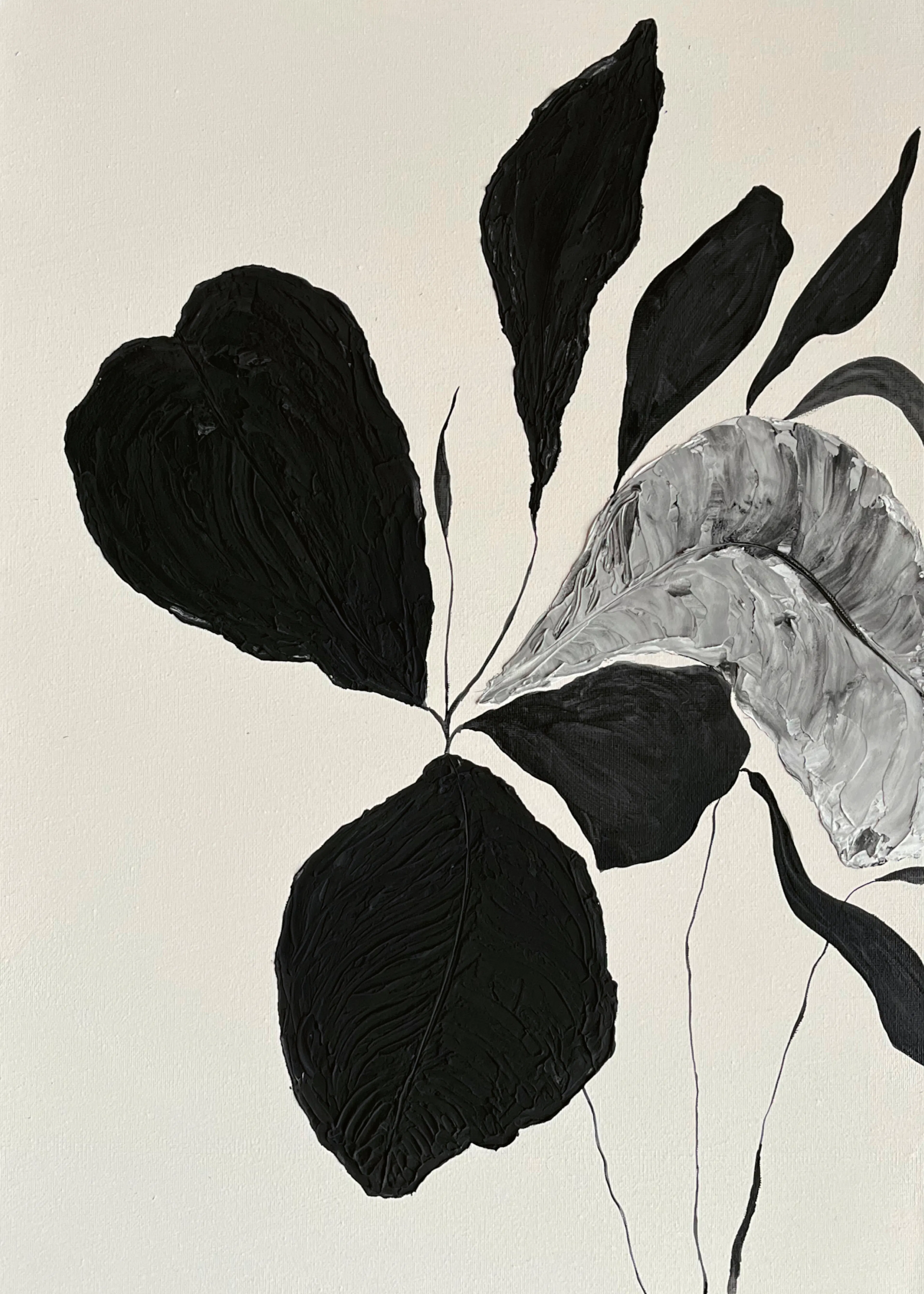 Monochrome Leaves Poster 0