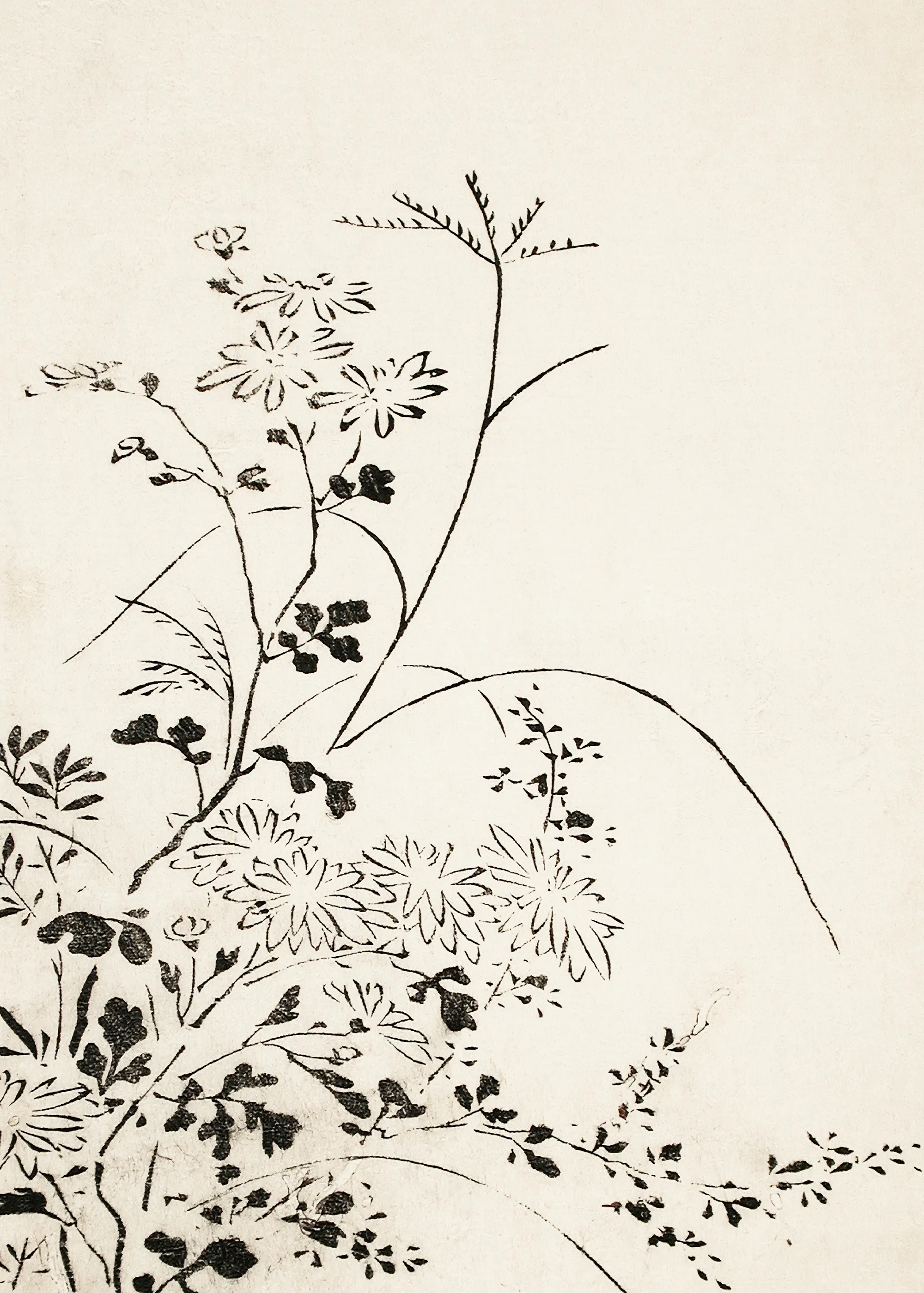 Delicate Foliage Poster 0