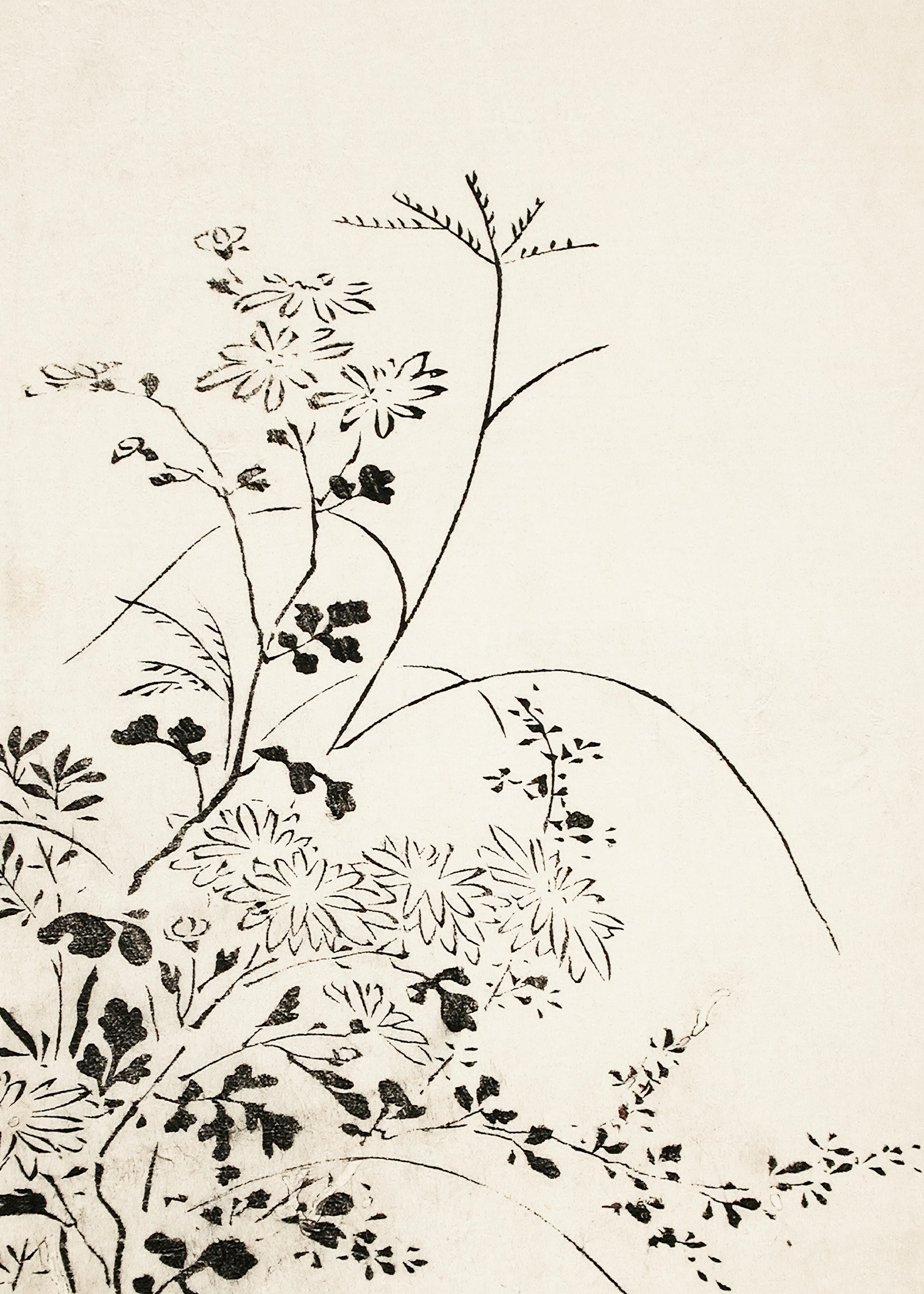Delicate Foliage Poster 0