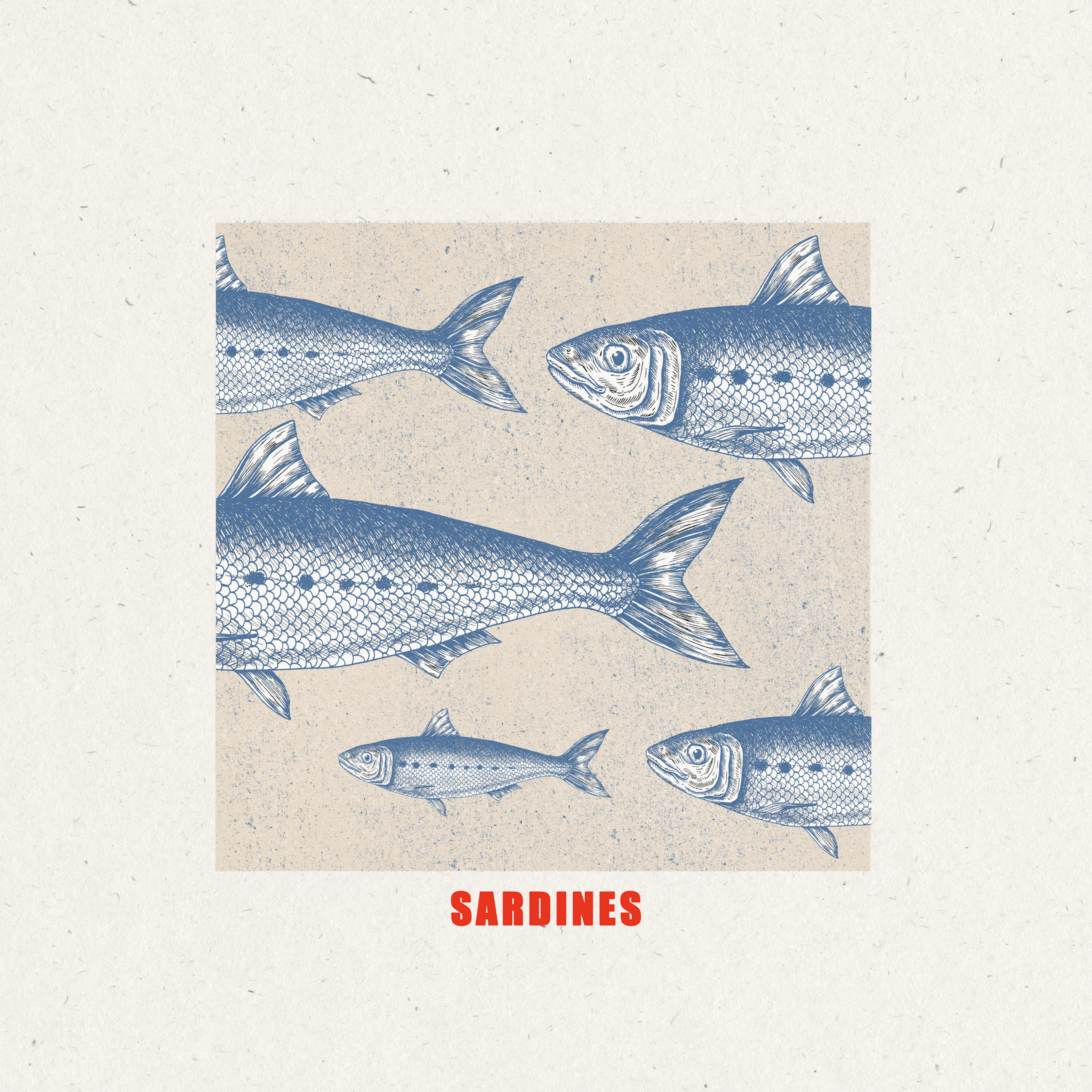 Blaue Sardinen Poster 0