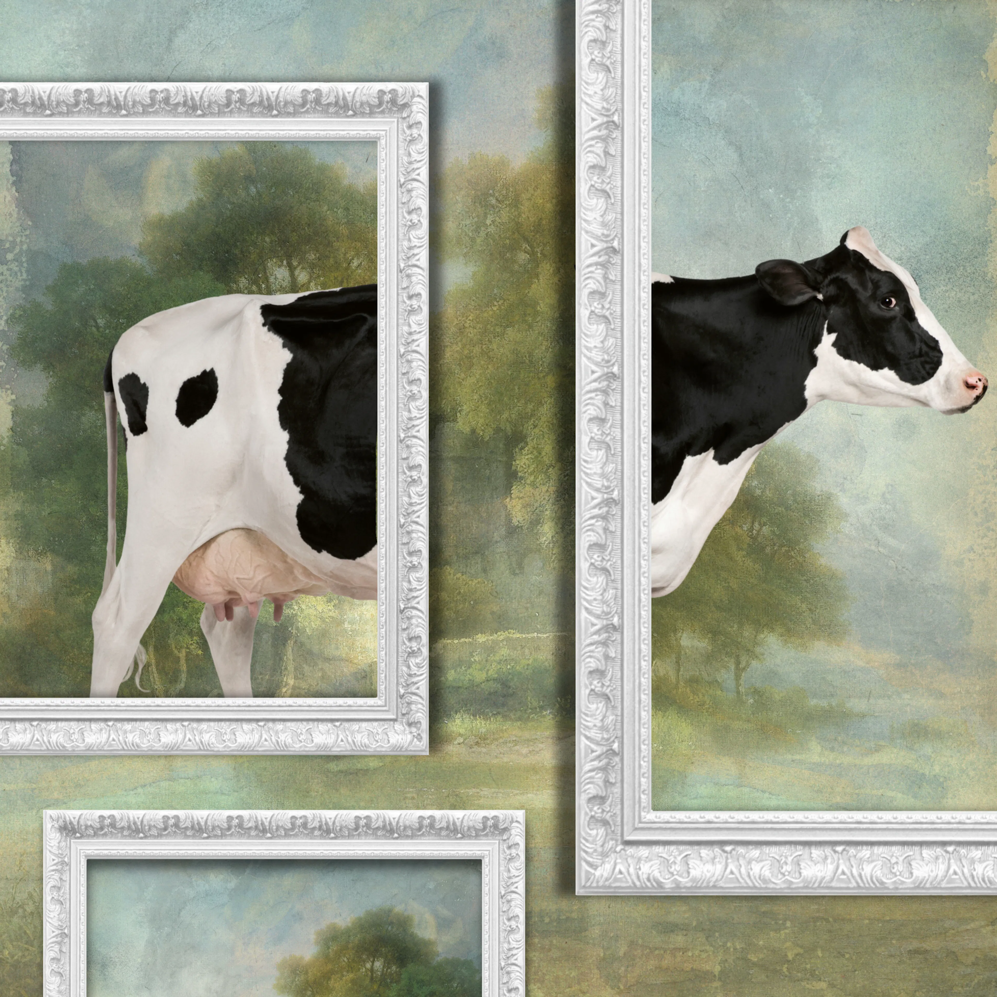 Gerahmtes Kuh Poster 0