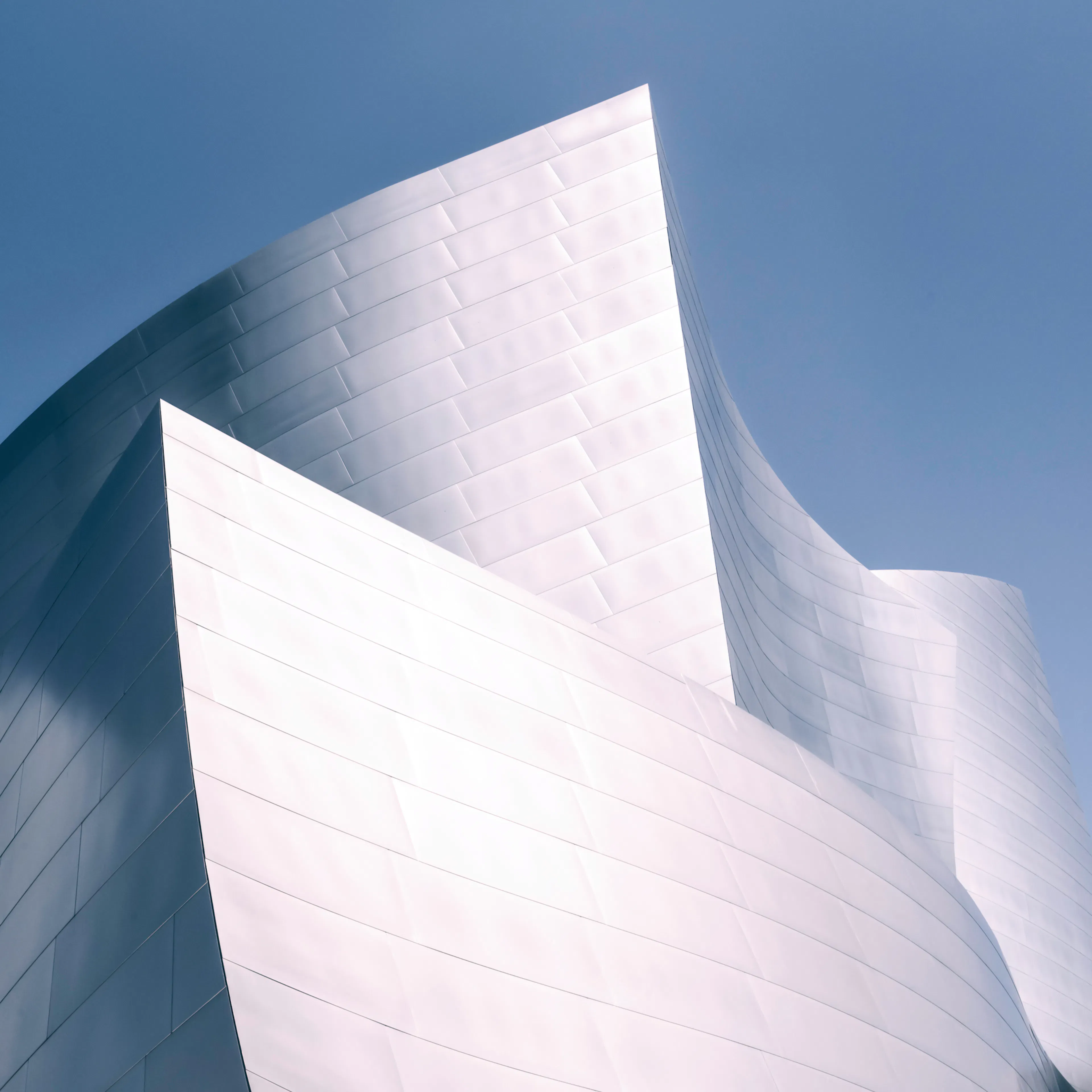 Silver Curves Poster 0