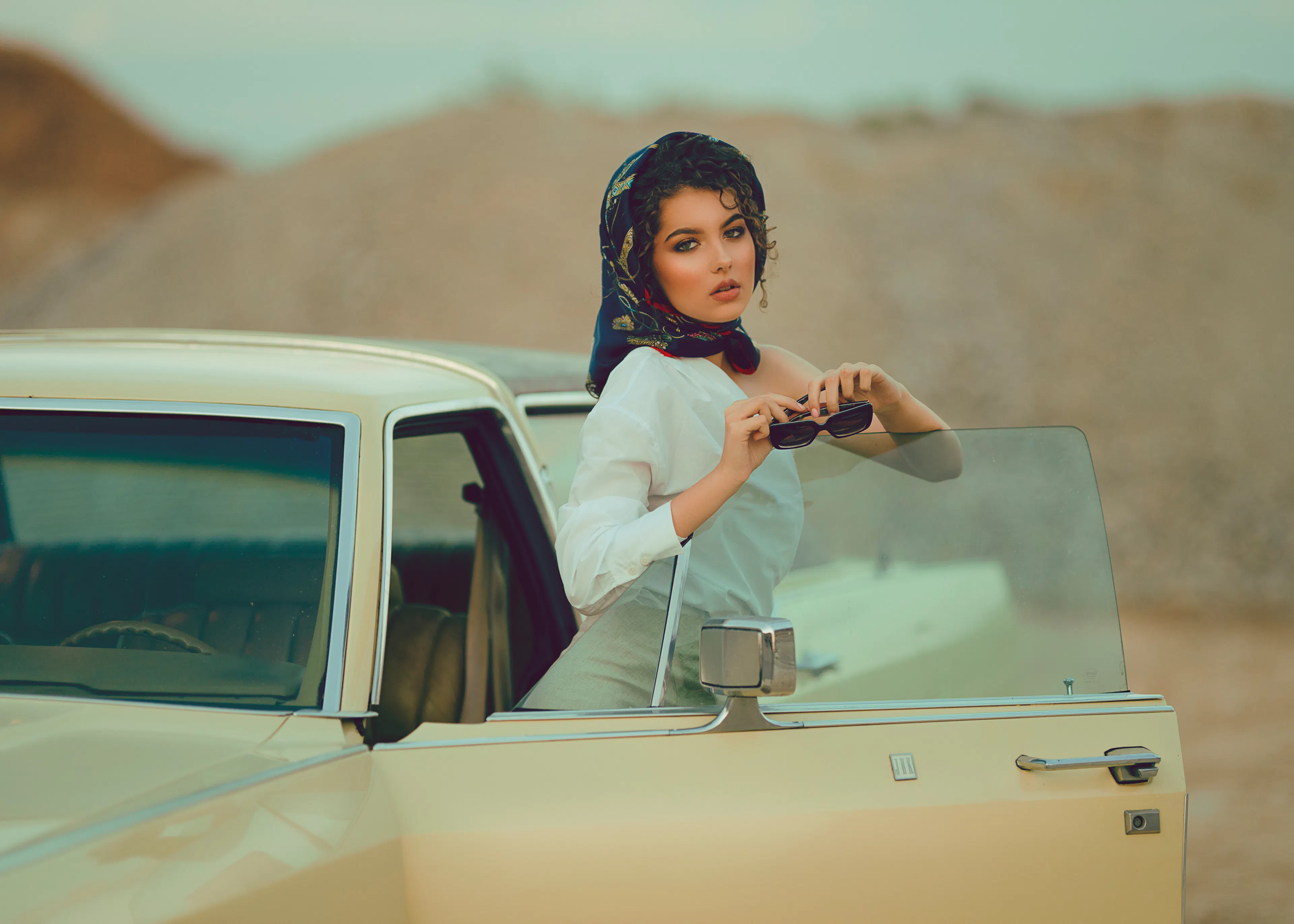 Desert Drift Poster 0