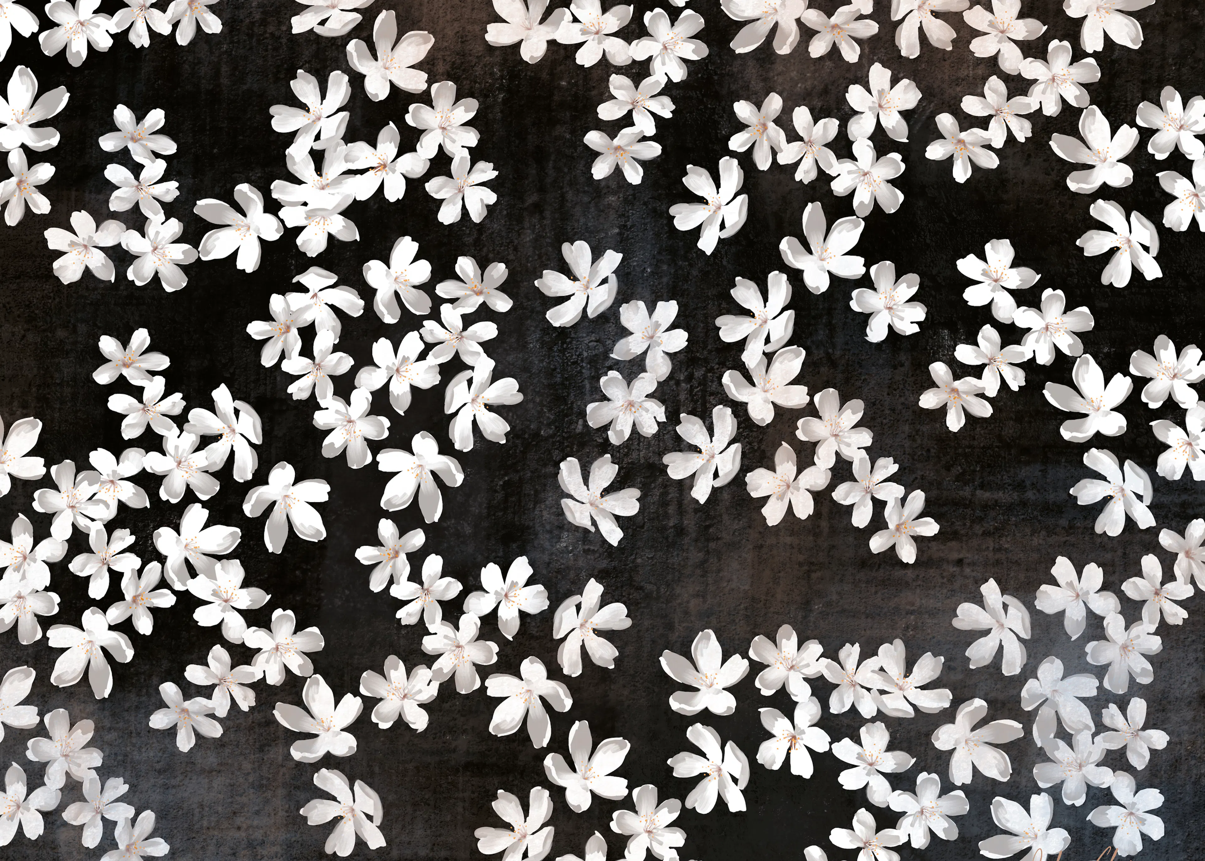 Black White Blossoms Poster 0