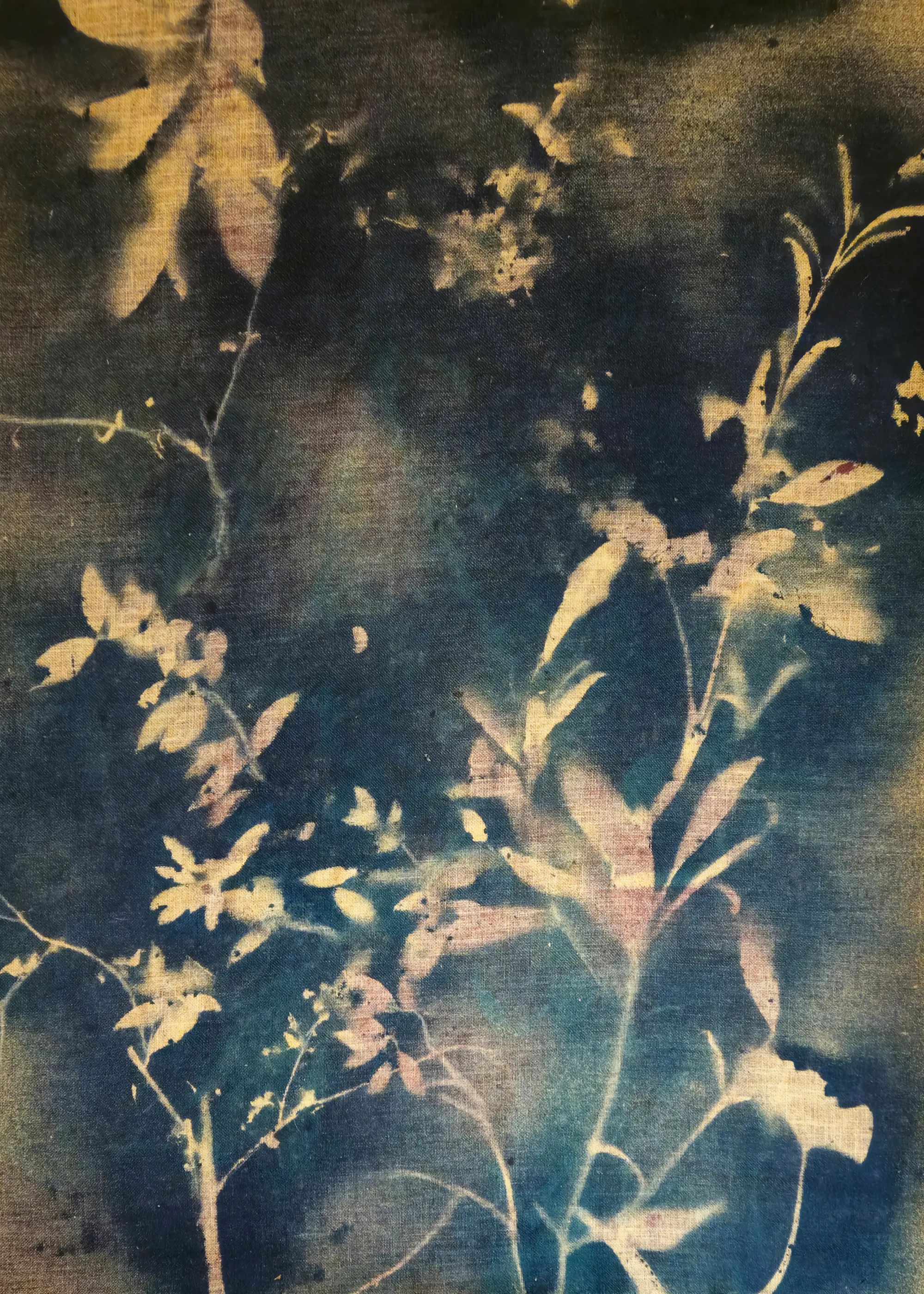Ethereal Botanicals Poster 0