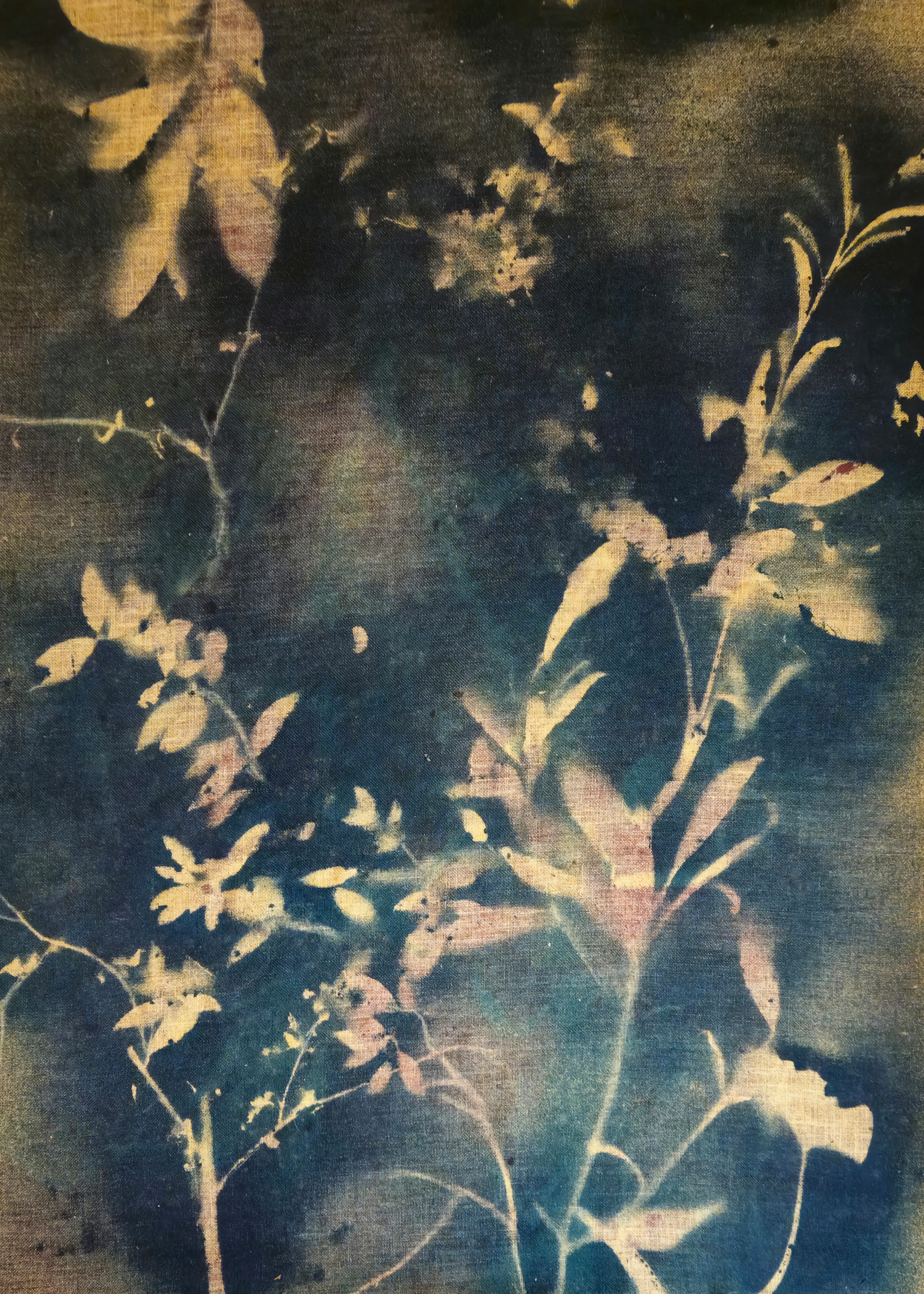 Etherische Botanische Poster 0