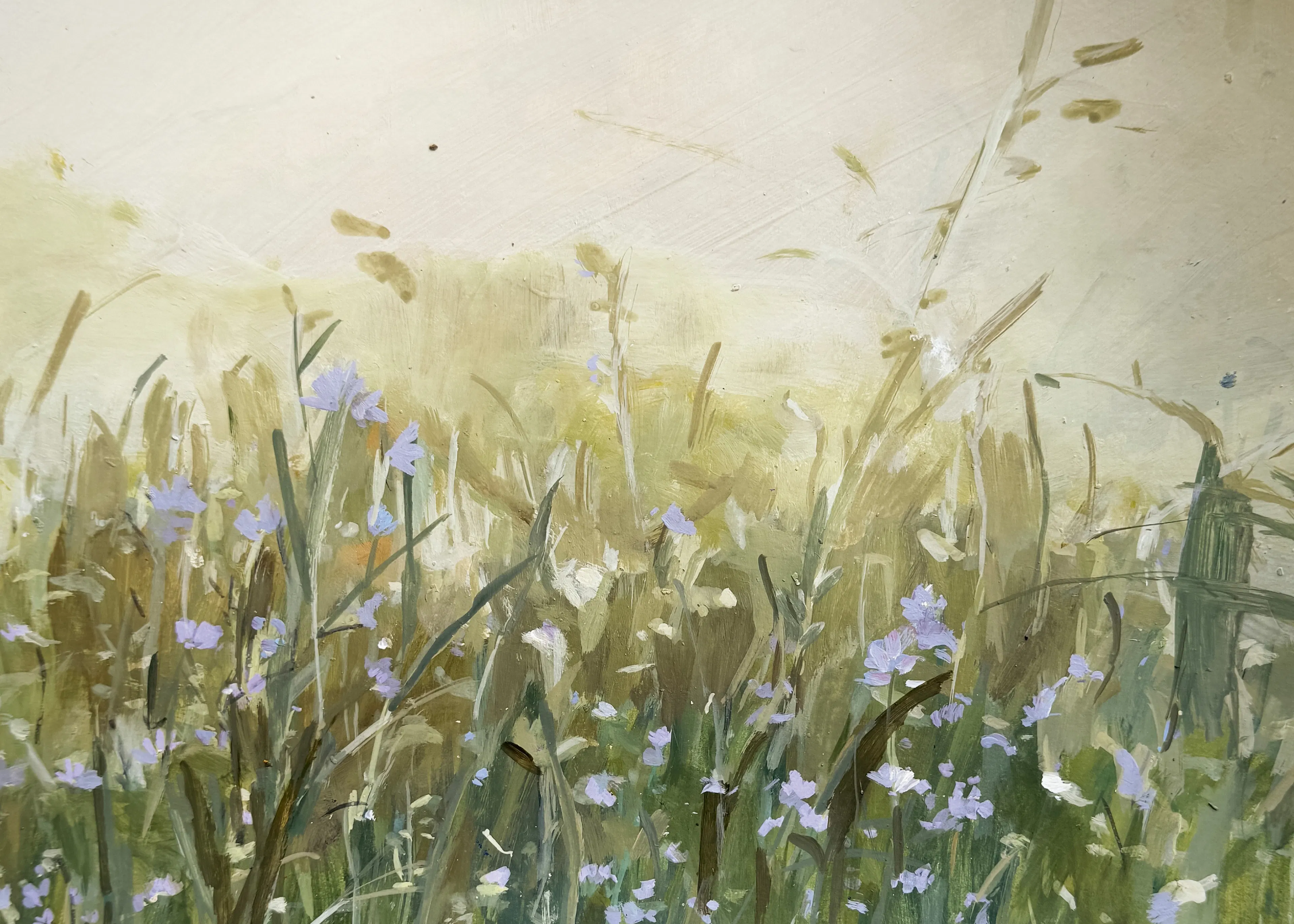 Soft Green Wildflower Meadow Poster 0