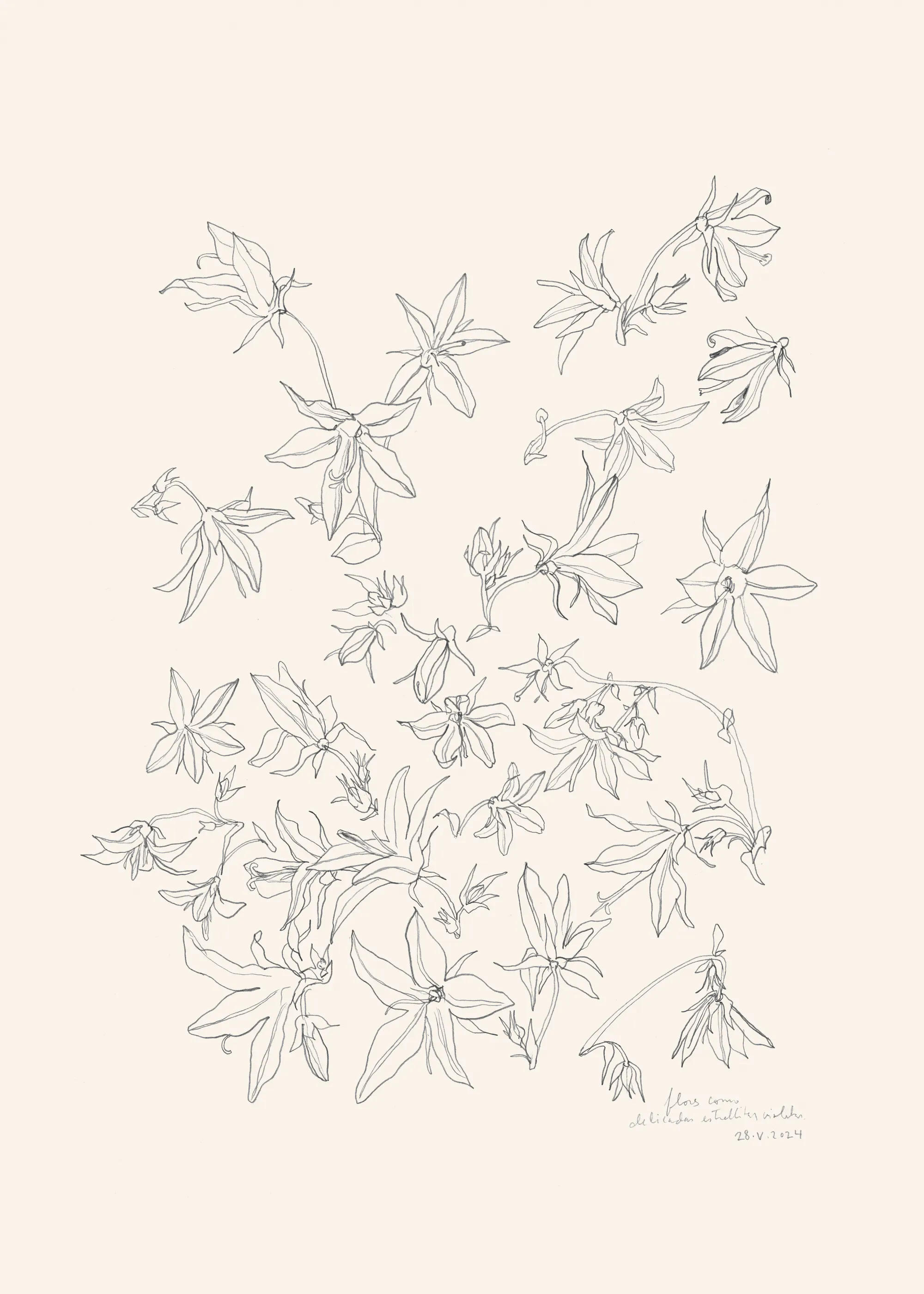 Delicate Floral Poster 0