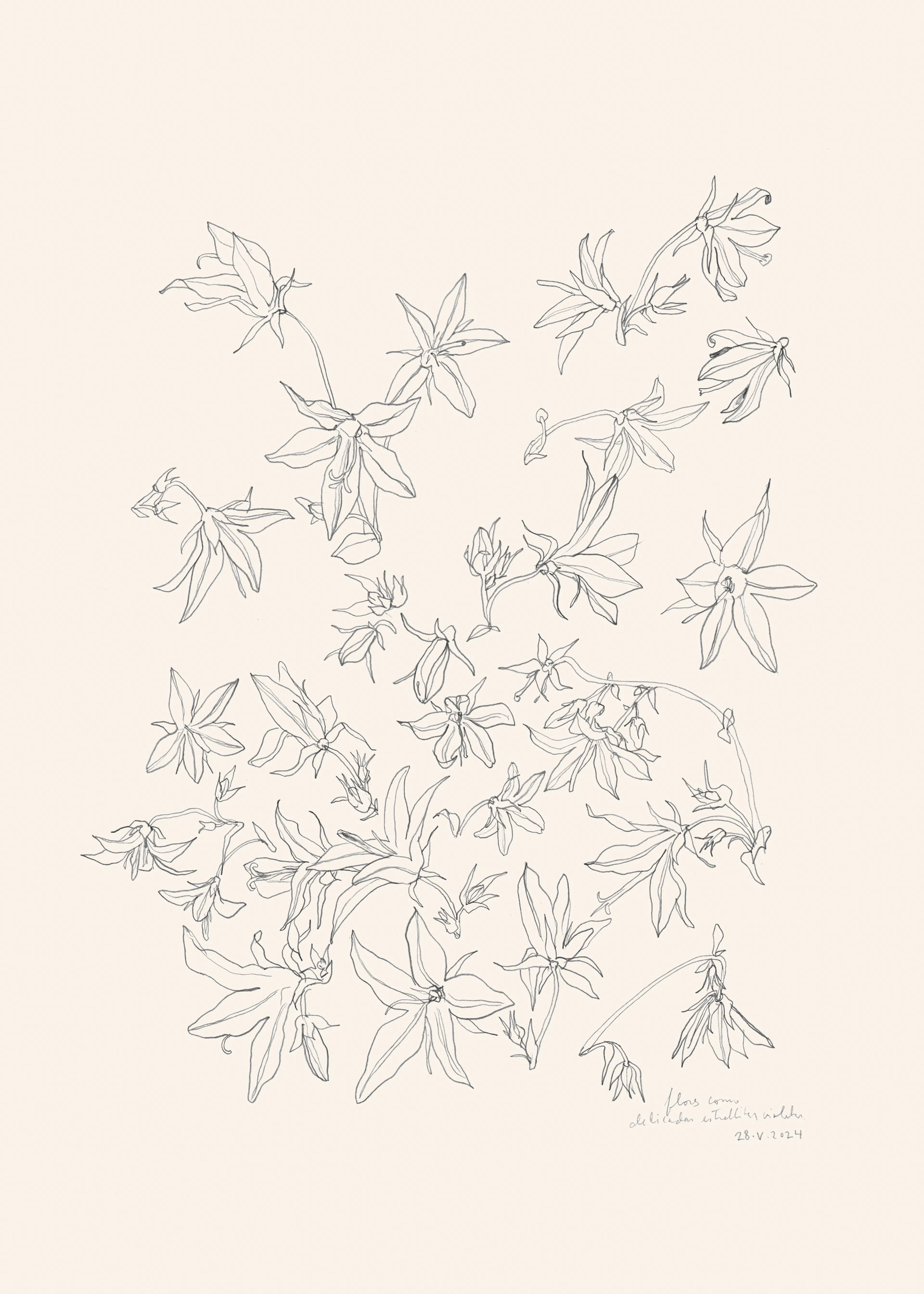 Delicate Floral Poster 0
