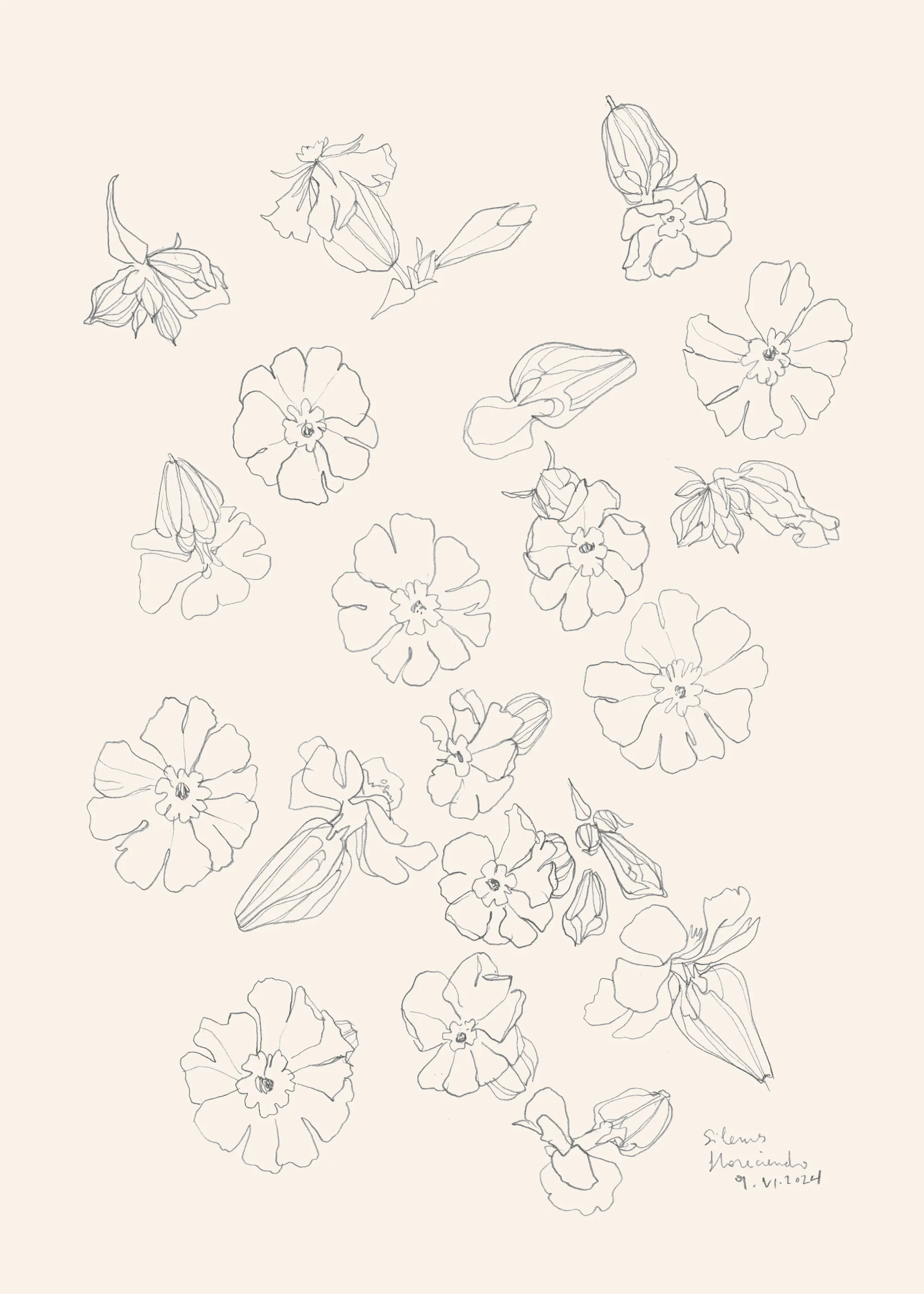 Krem Delikat Blomster Plakat 0