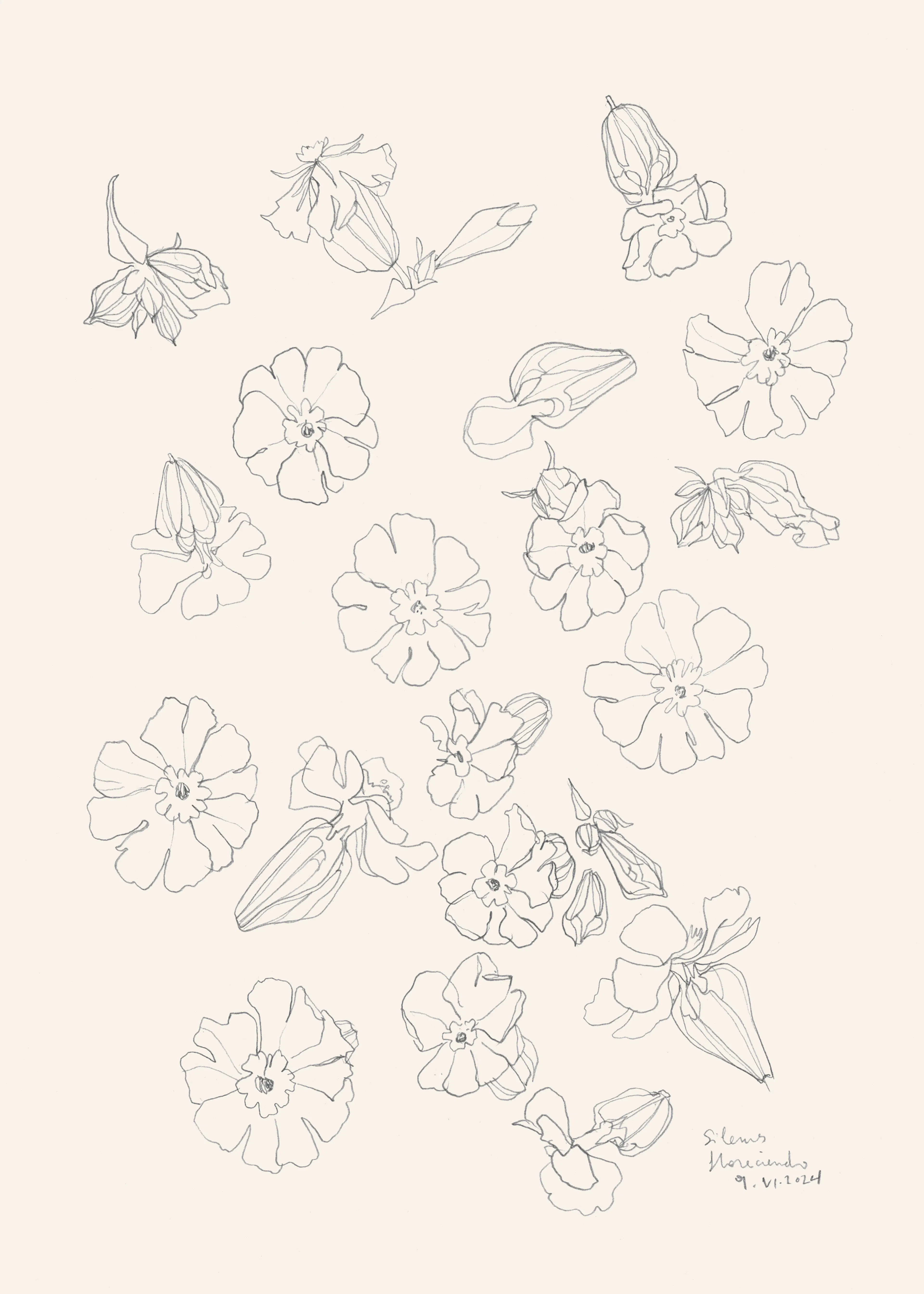 Cream Delicate Blooms Poster 0