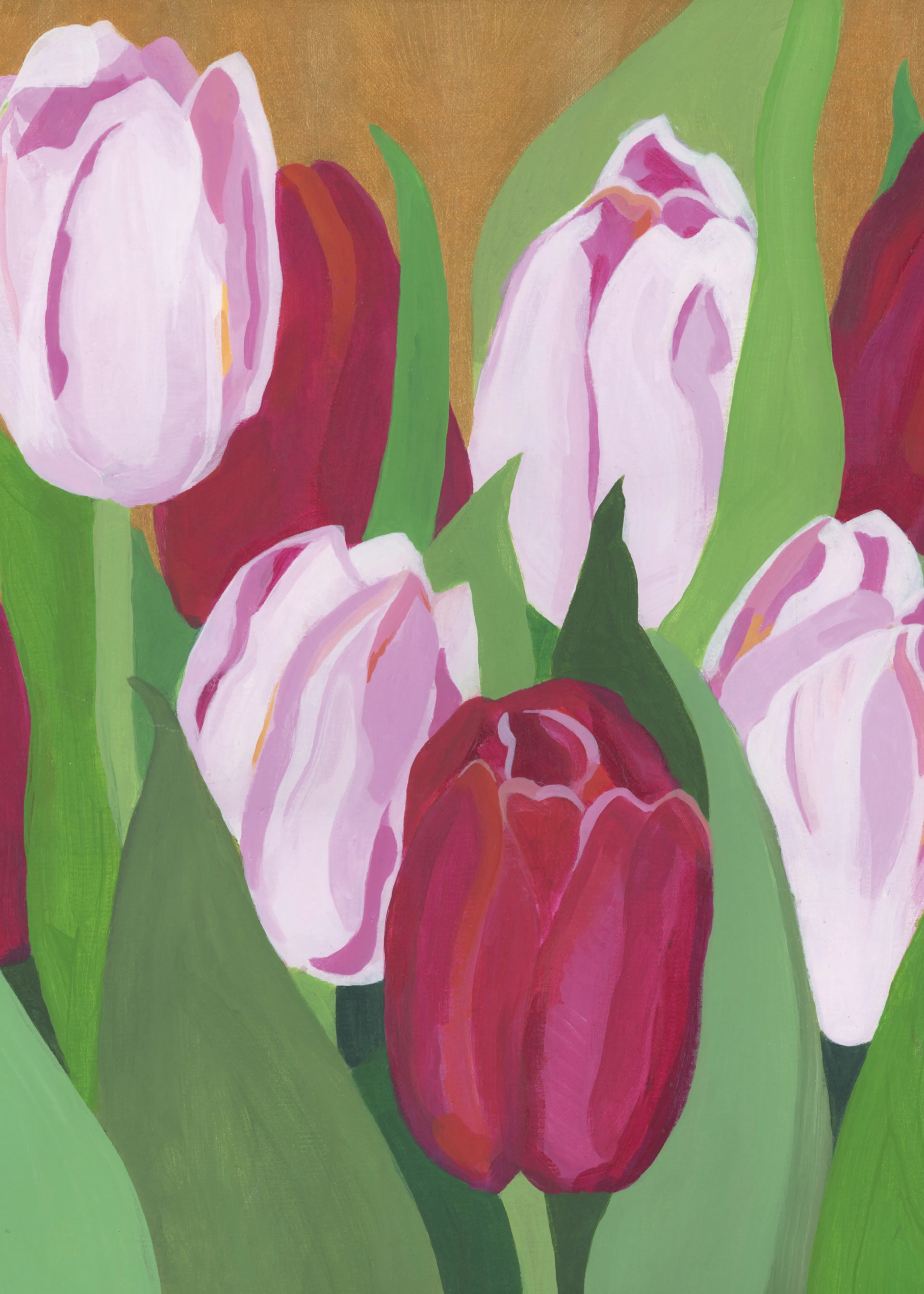Red Spring Tulips Poster 0