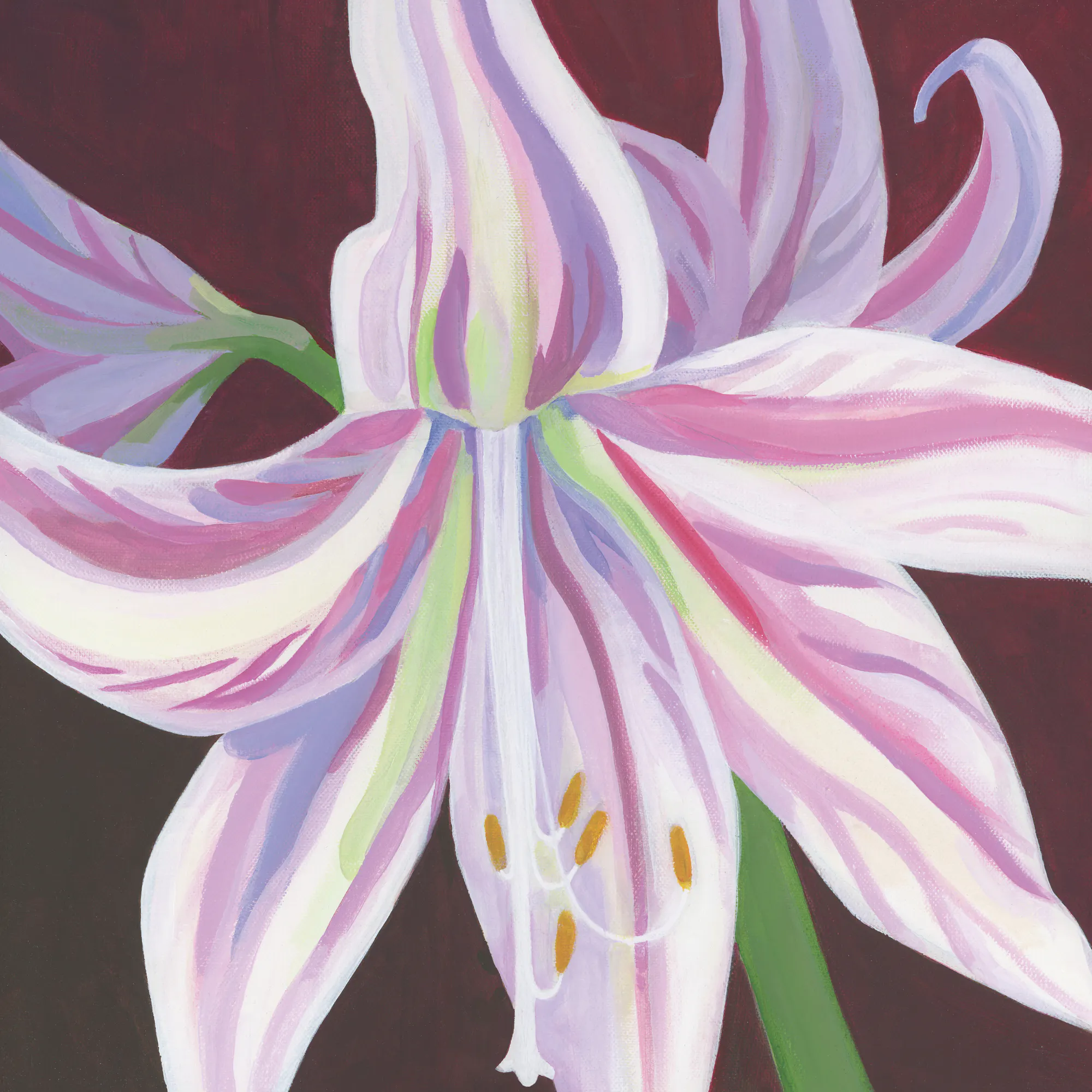 Elegant Lily Poster 0