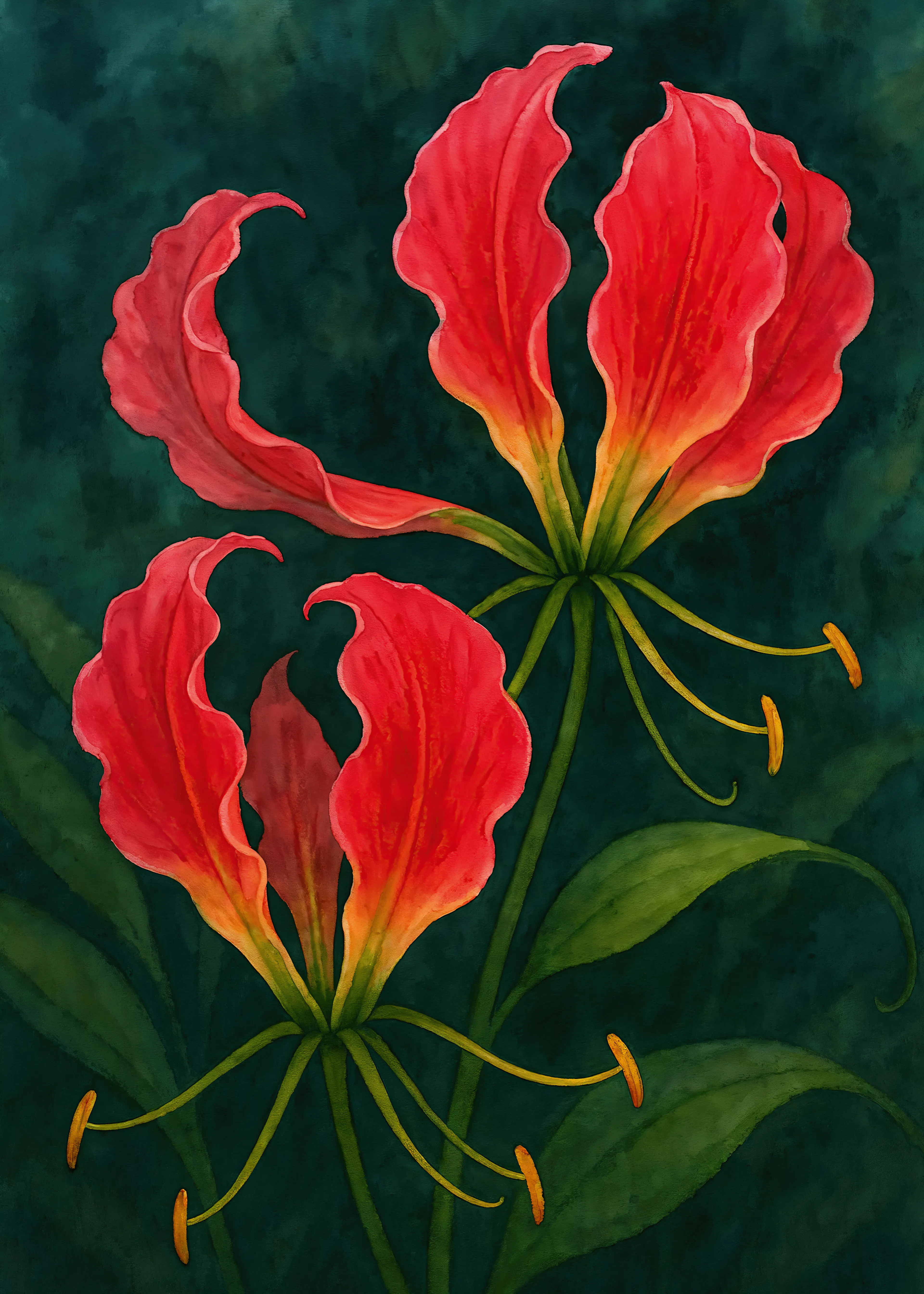 Flame Lily Poster 0