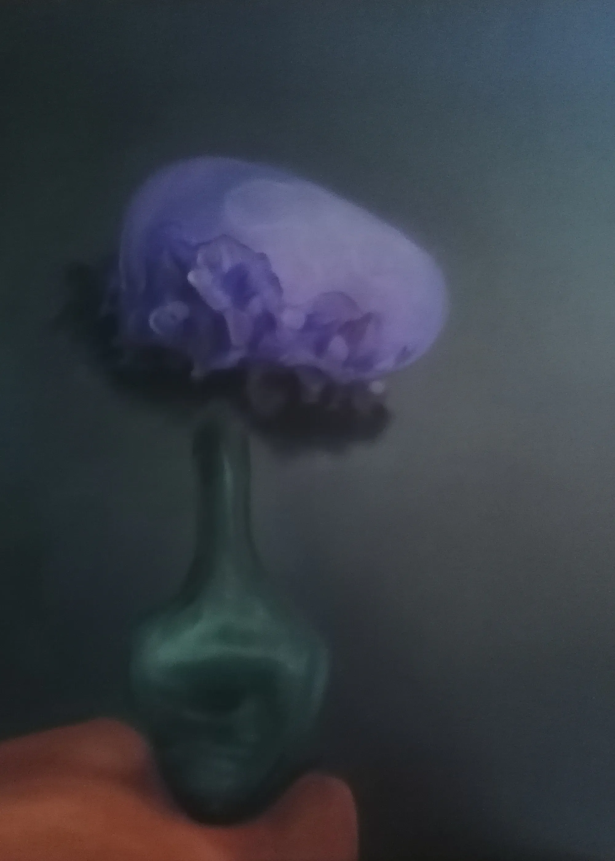 Floraison Violette Éthérée Poster 0