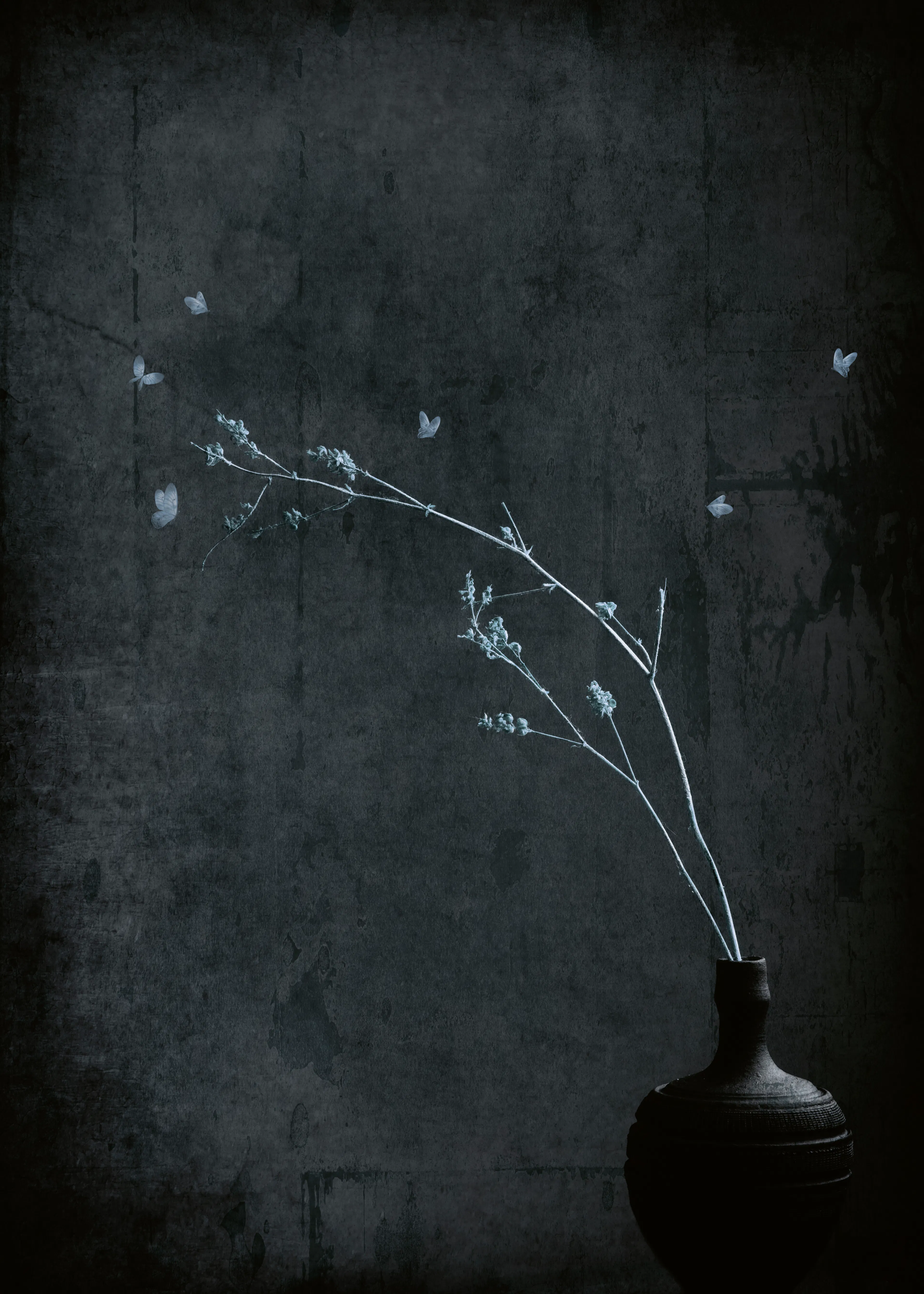 Silent Bloom Poster 0
