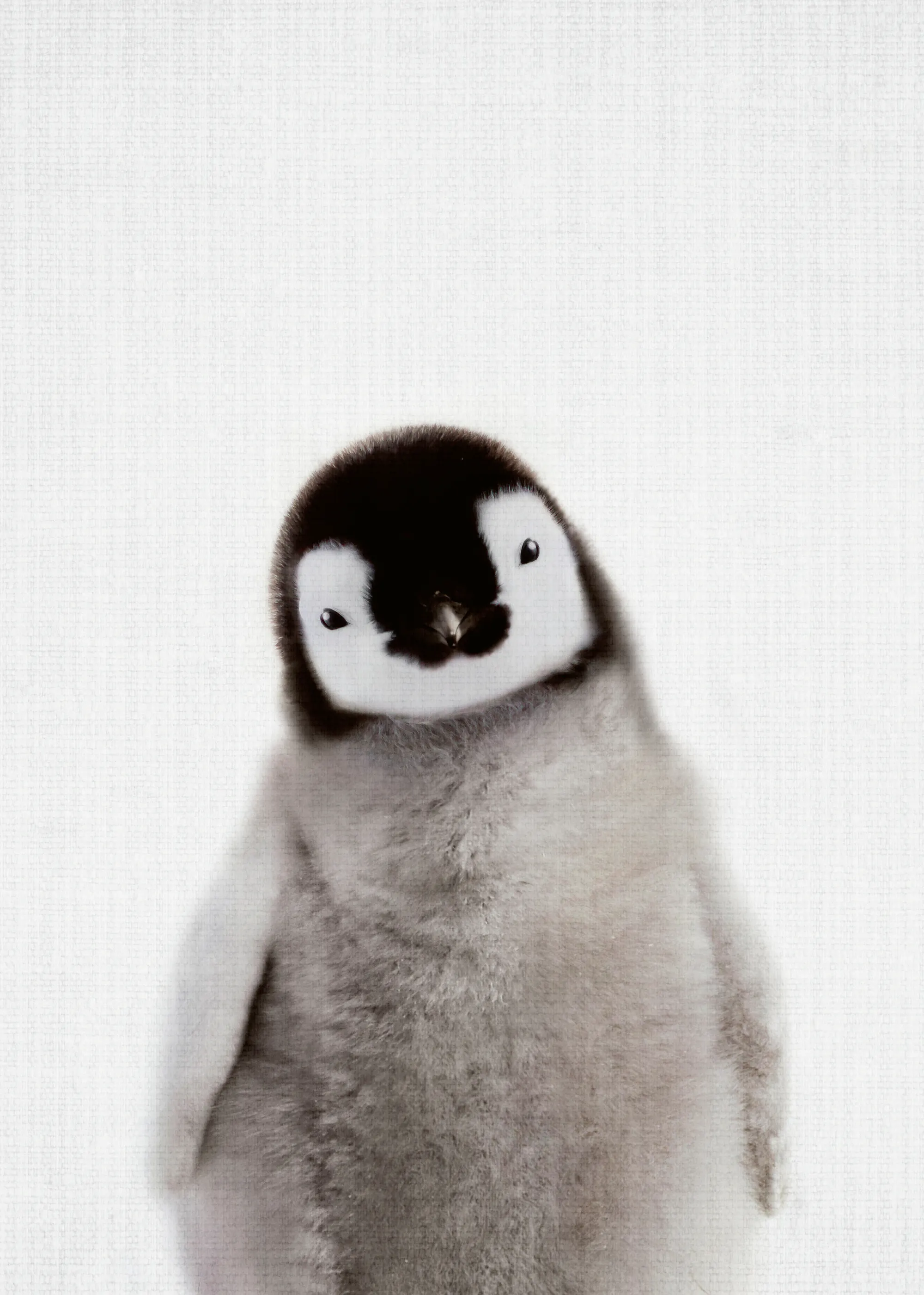 Black Cute Penguin Poster 0
