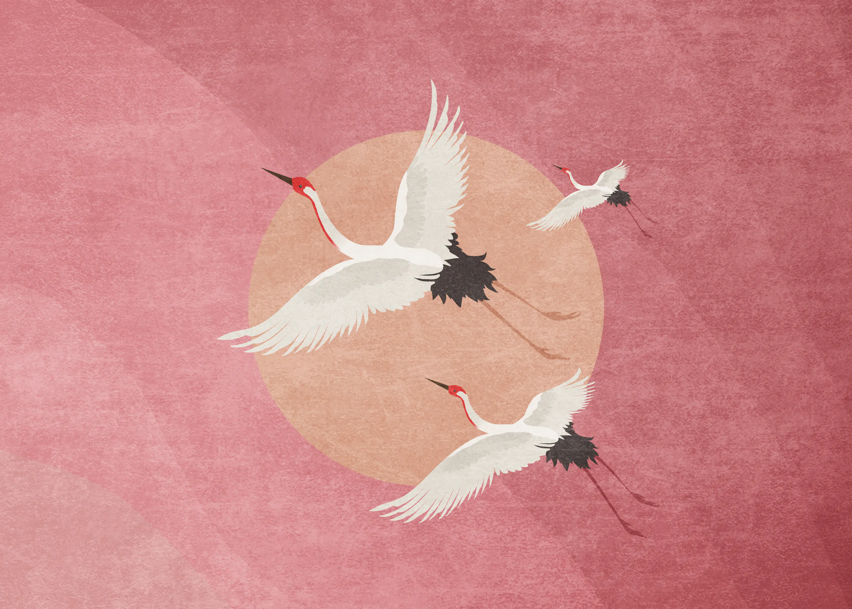 Pink Graceful Flight Poster 0