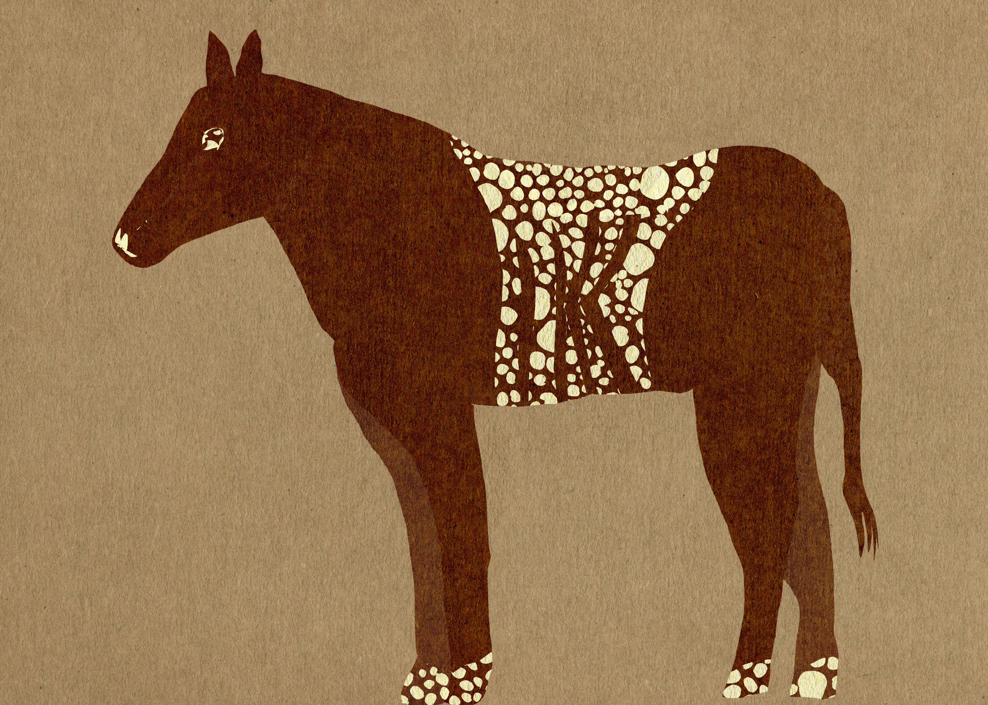 Decorated Horse Poster 0