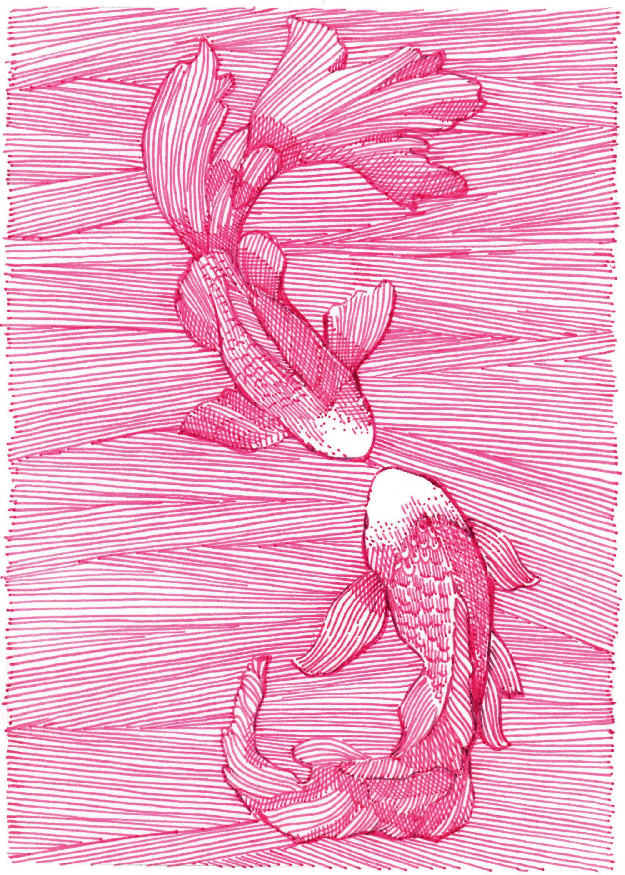 Roze Koi Poster 0