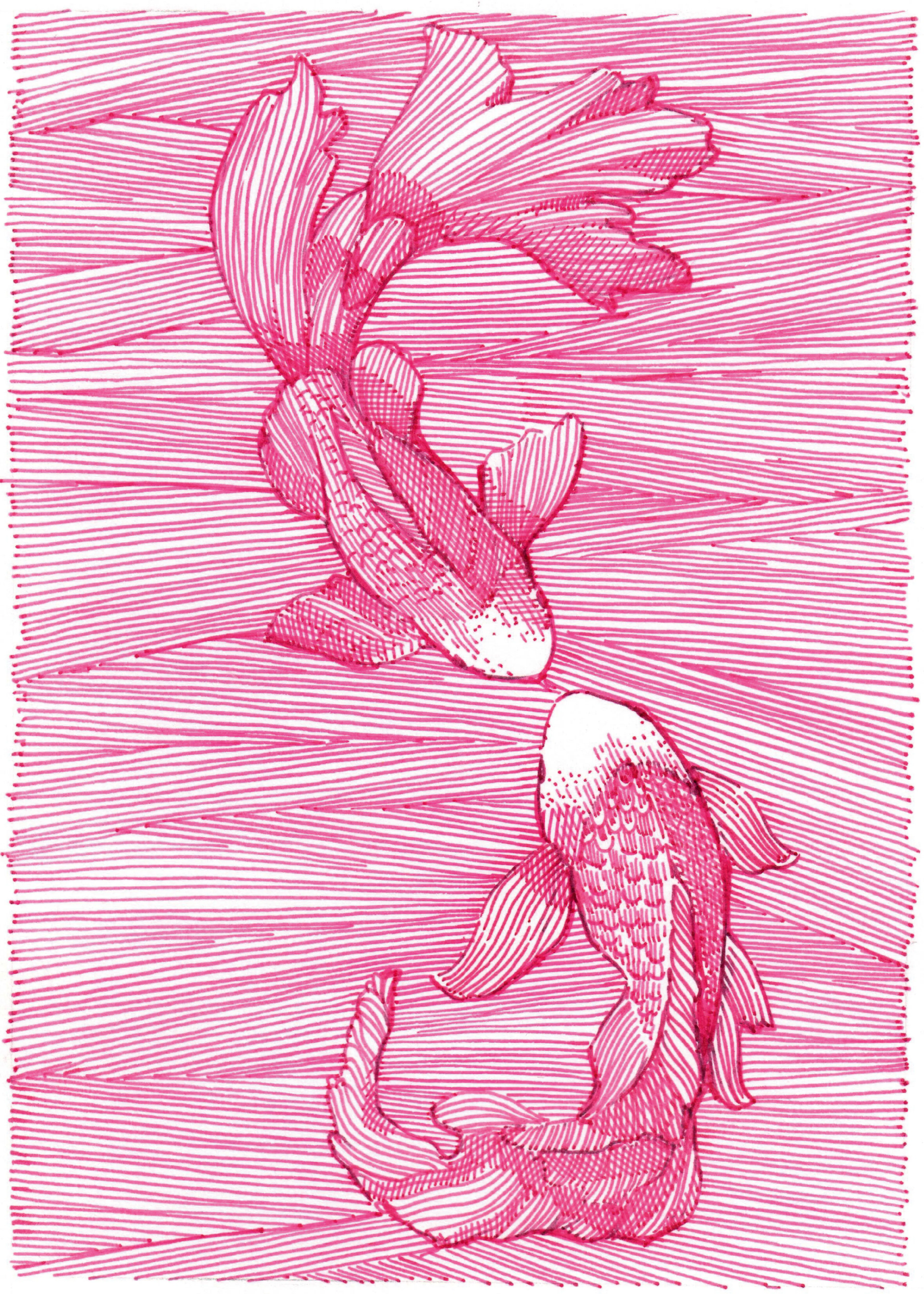 Pink Koi Poster 0