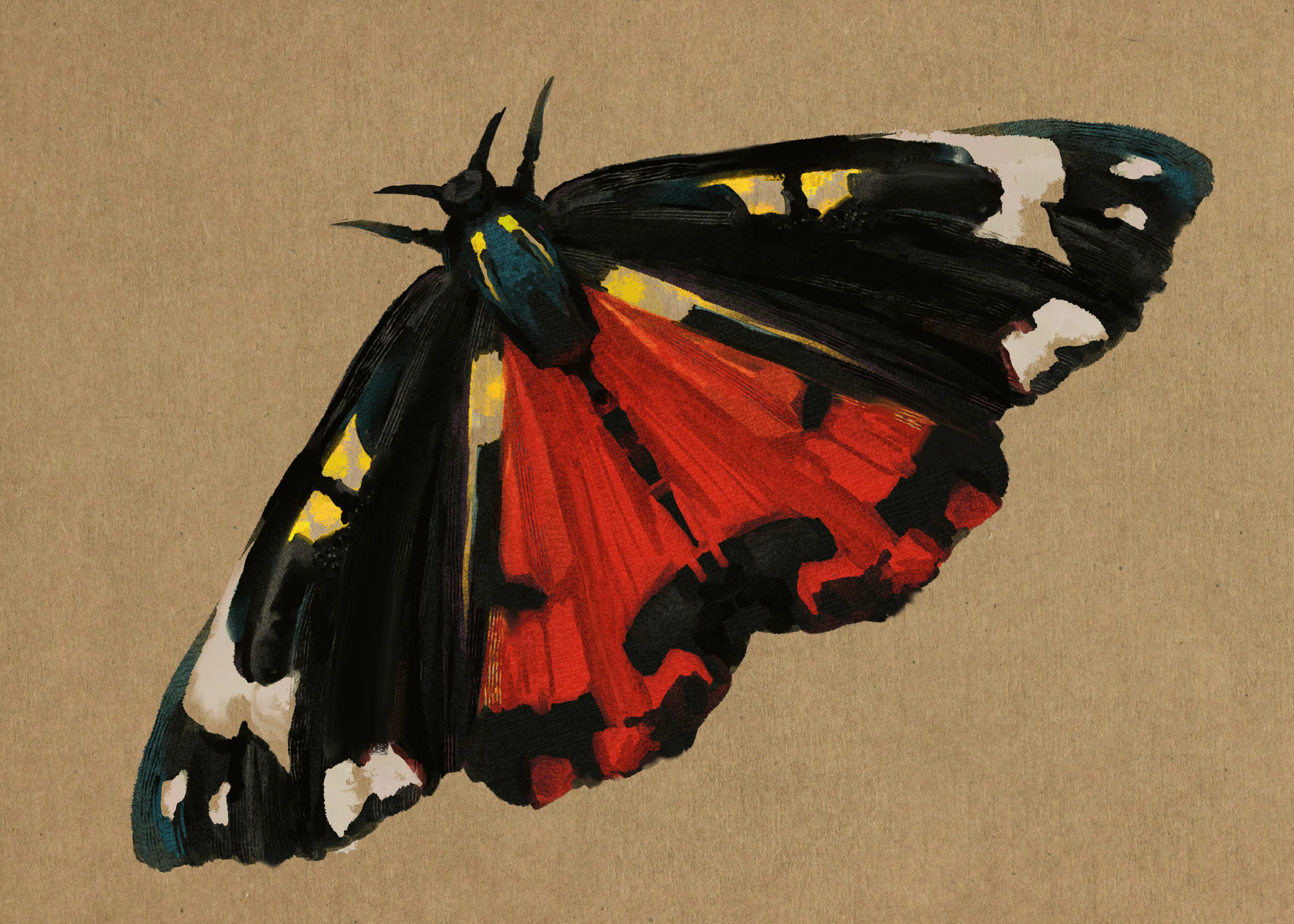 Black Vibrant Butterfly Poster 0