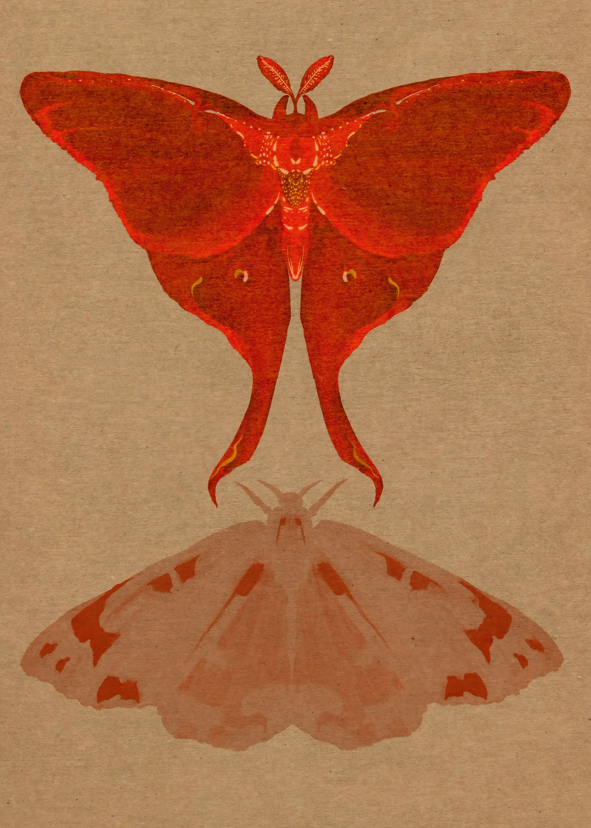 Red Moth Illusion Poster 0
