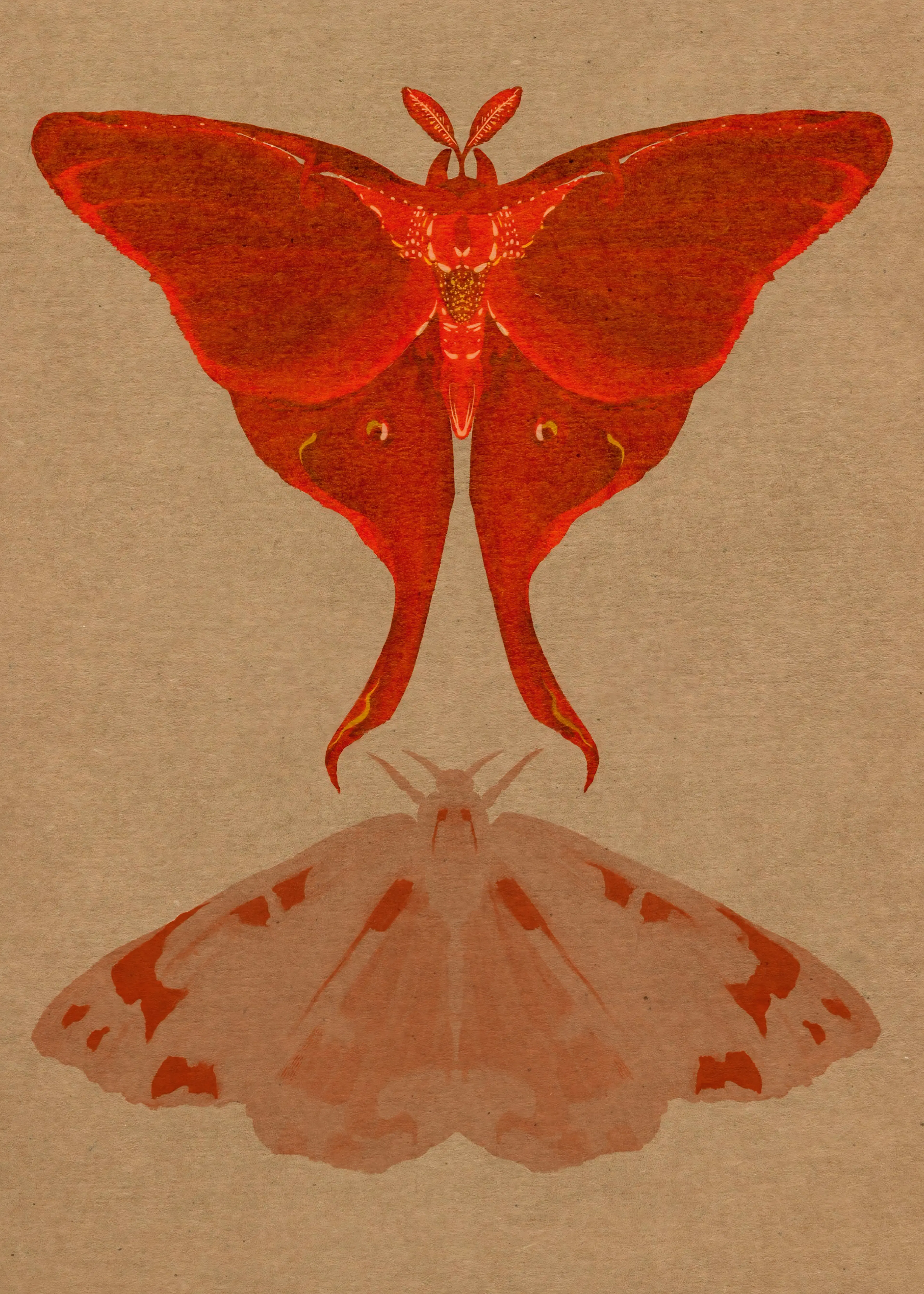 Red Moth Illusion Poster 0