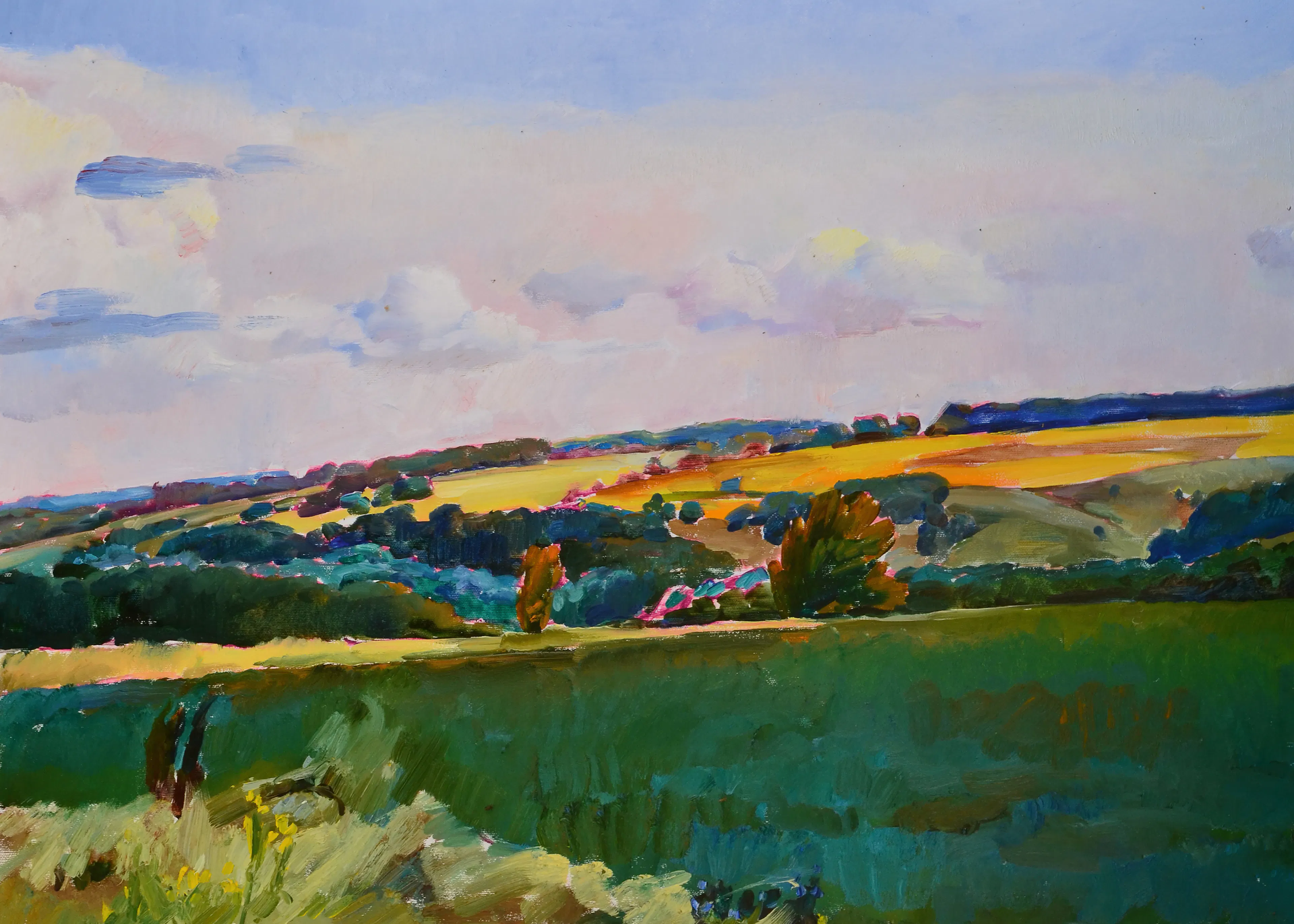 Sunlit Countryside Poster 0