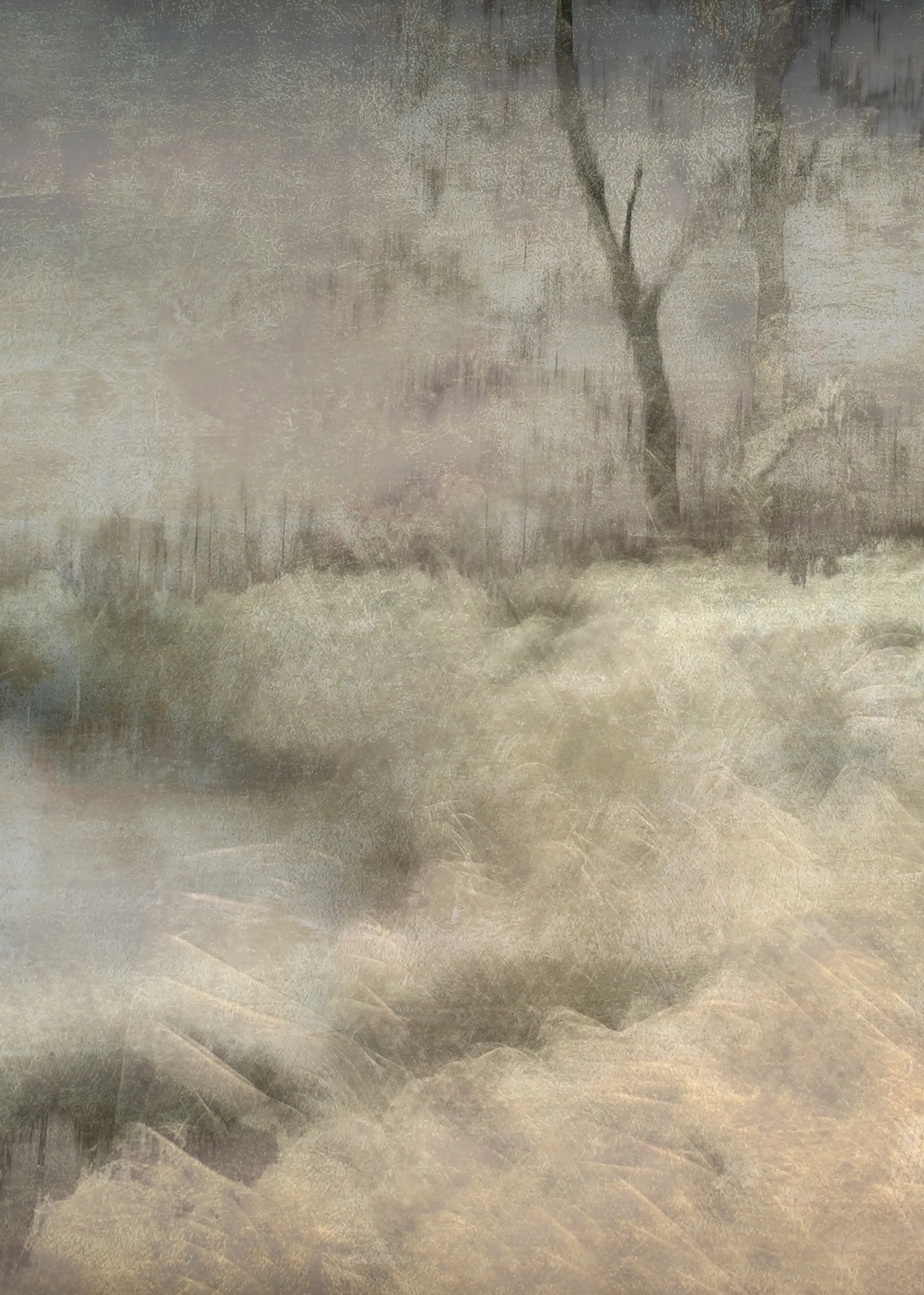 Silver Winter Serenity Poster 0