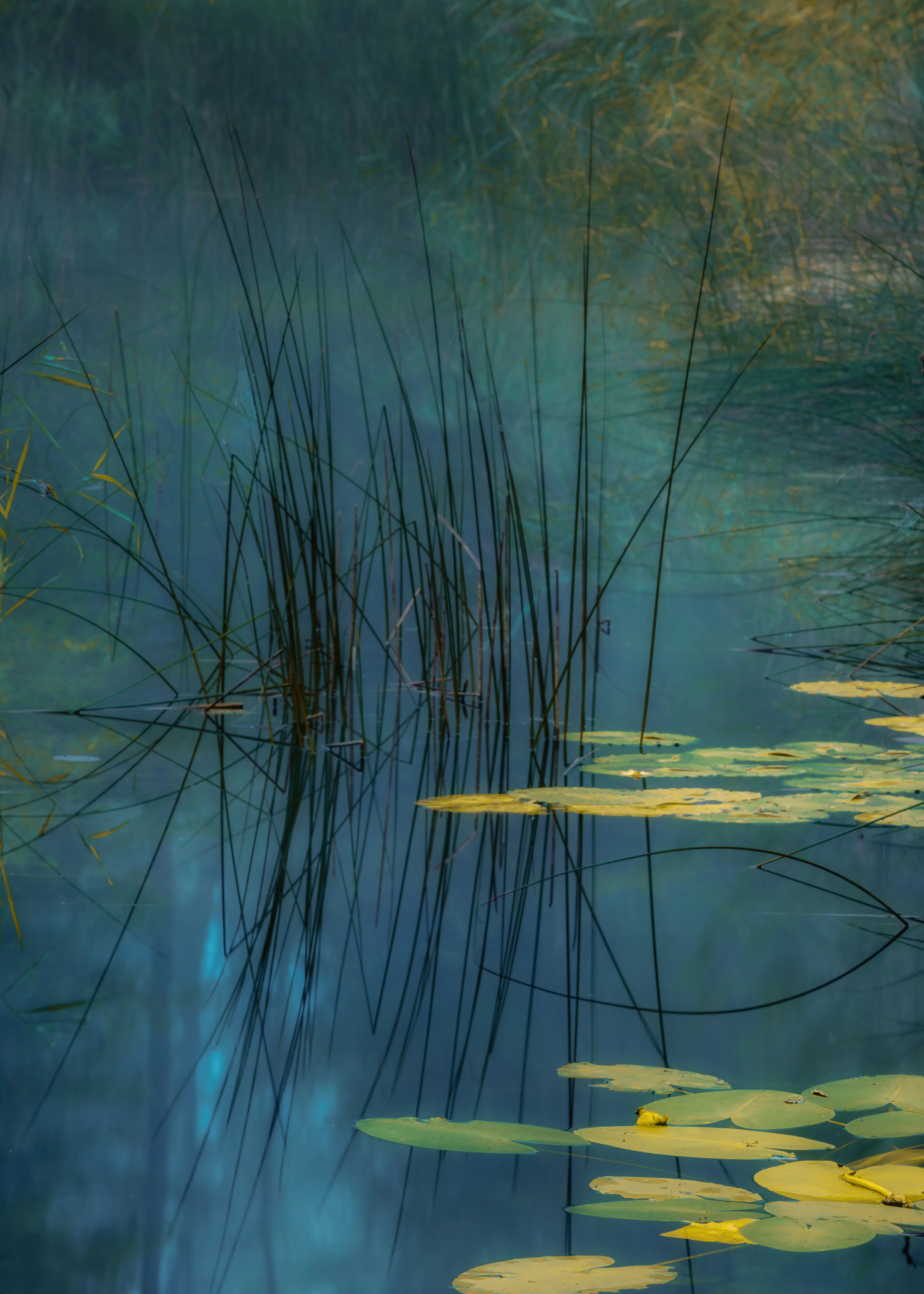 Serene Water Poster 0