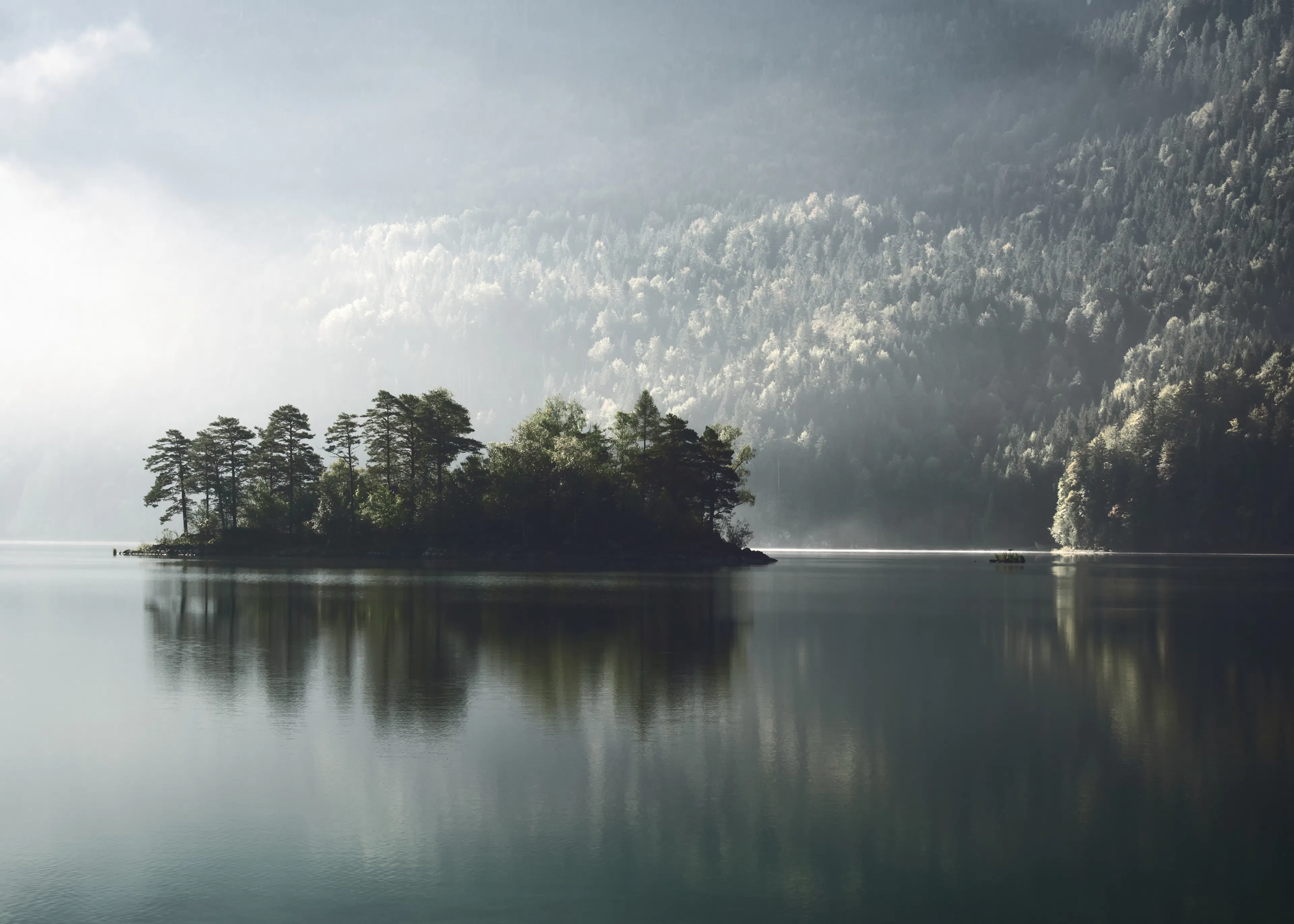 Teal Misty Lake Poster 0