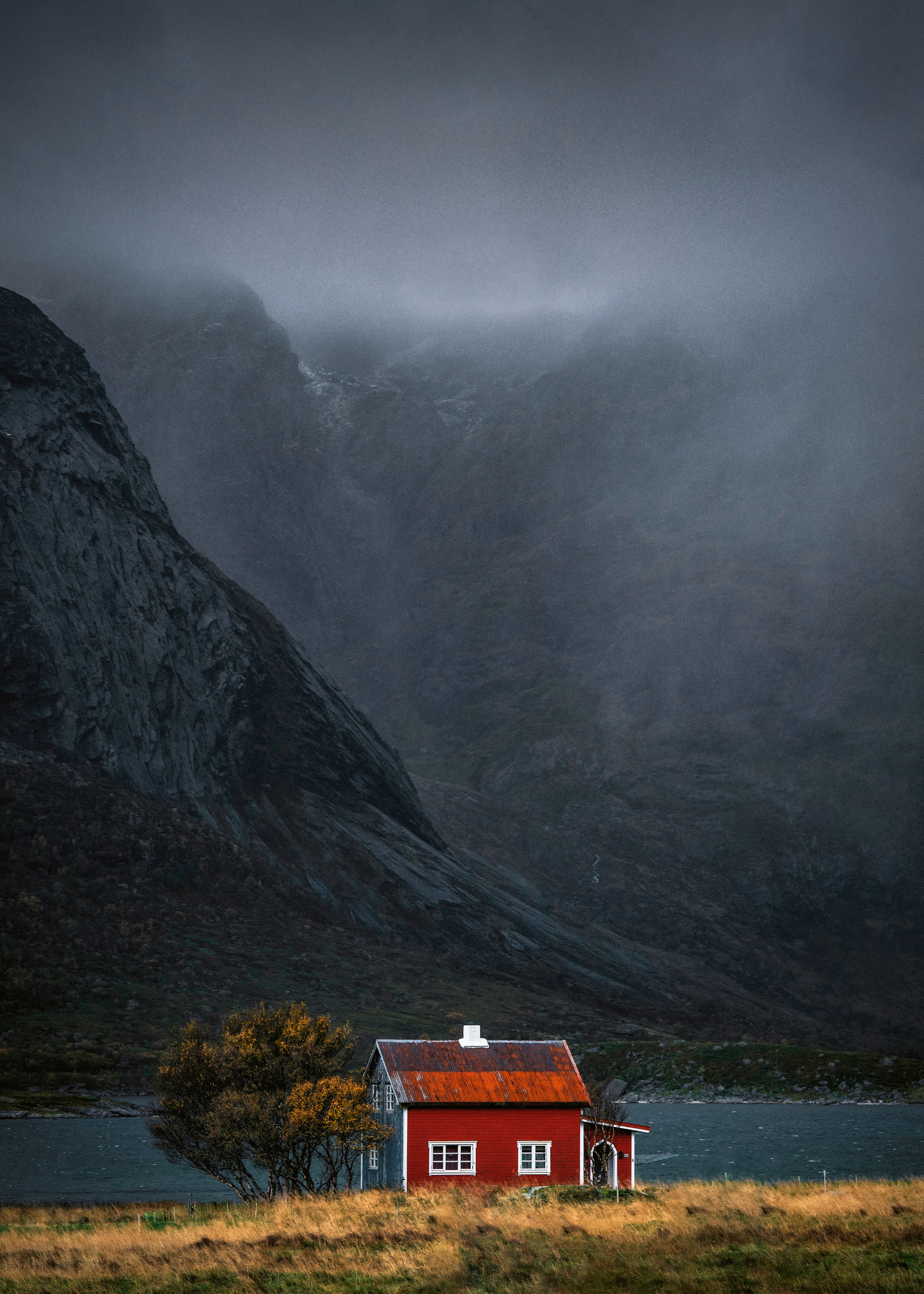 Highlands Grigie Mistiche Poster 0