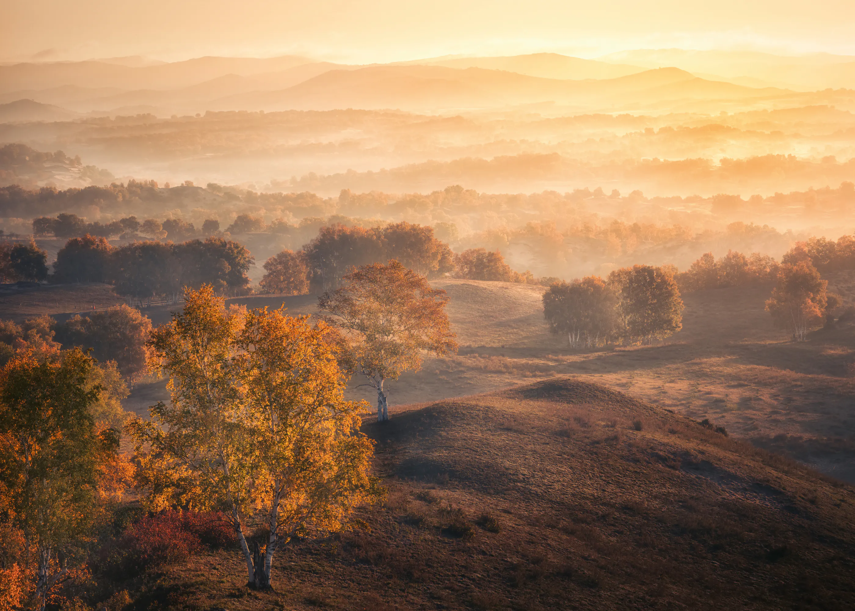 Autumn Sunrise Poster 0